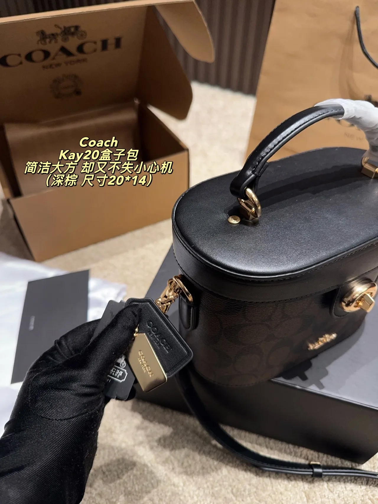 Coach Canvas Vanity Bag in Brown · view 8