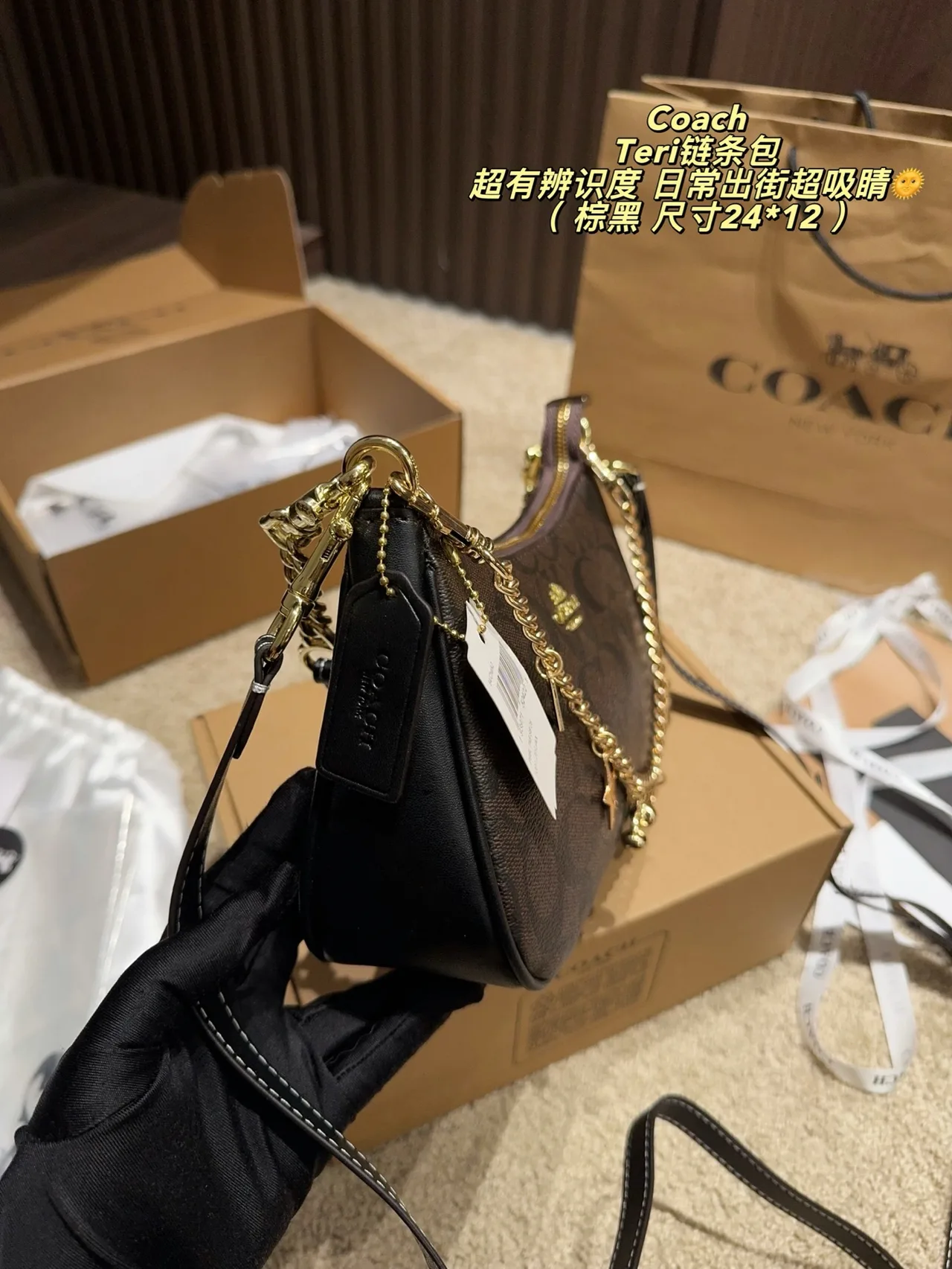 Coach Hobo Teri Chain Shoulder Bag in Brown · view 5