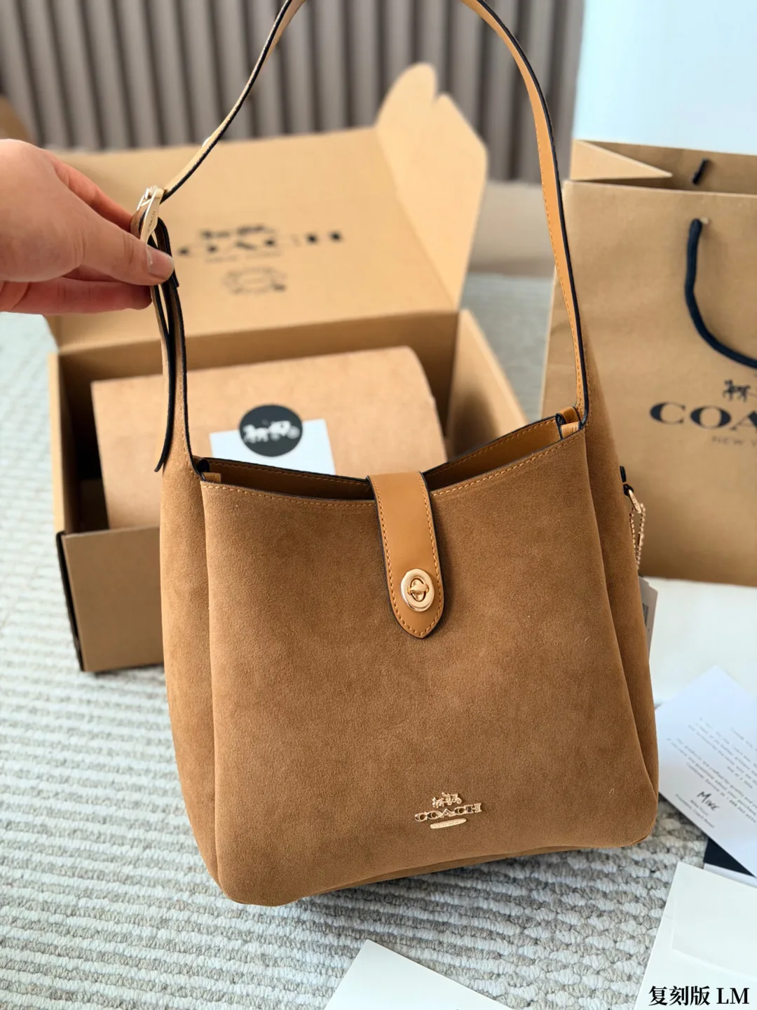 Coach Suede Canvas Hobo Bag in Tan · view 6