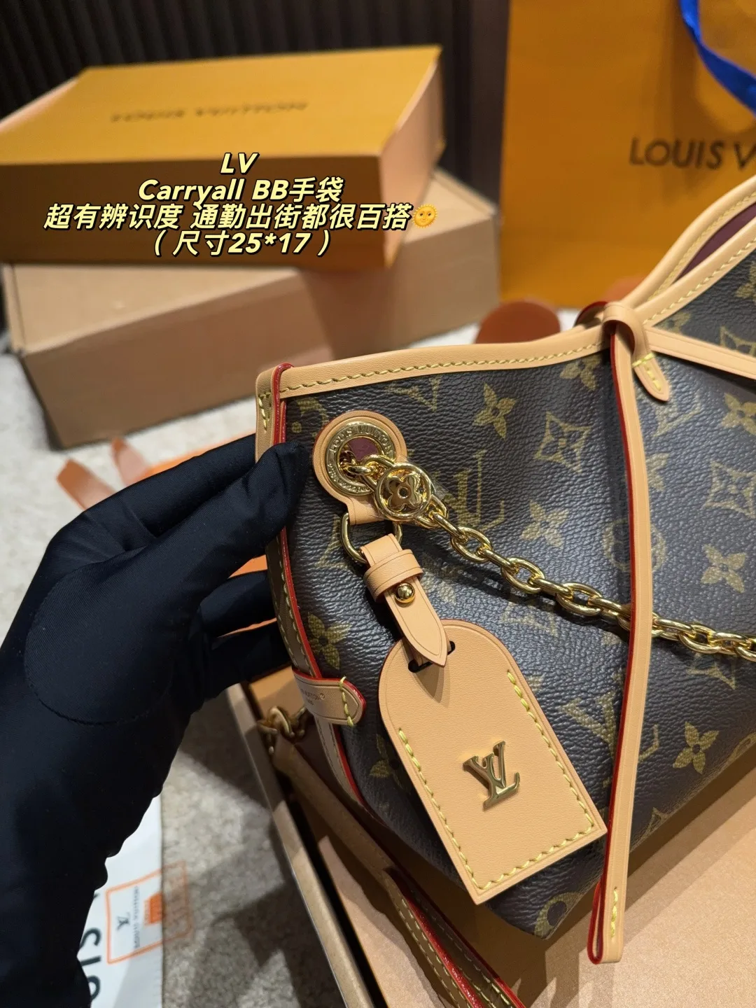 Louis Vuitton Carryall BB Shoulder Bag in Brown · view 4