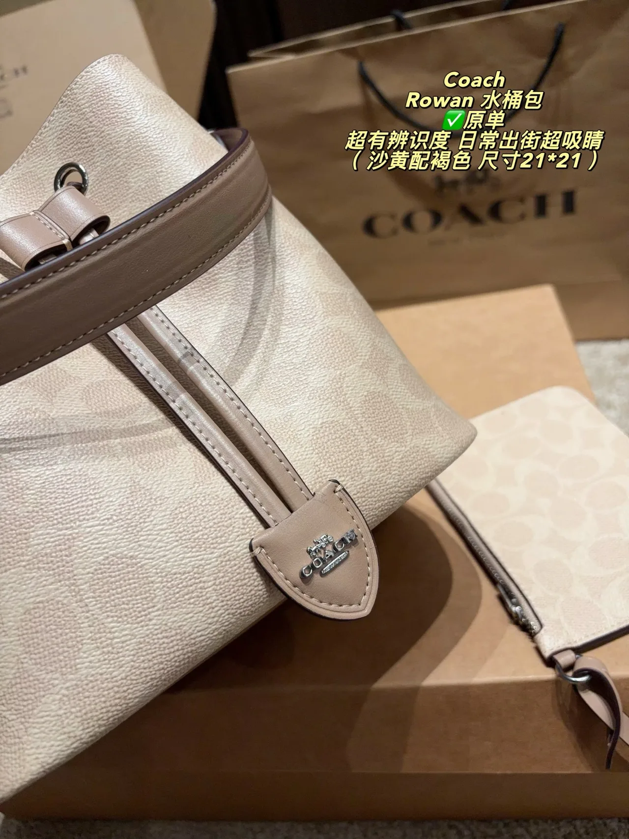 Coach Bucket Bag in Beige · view 5