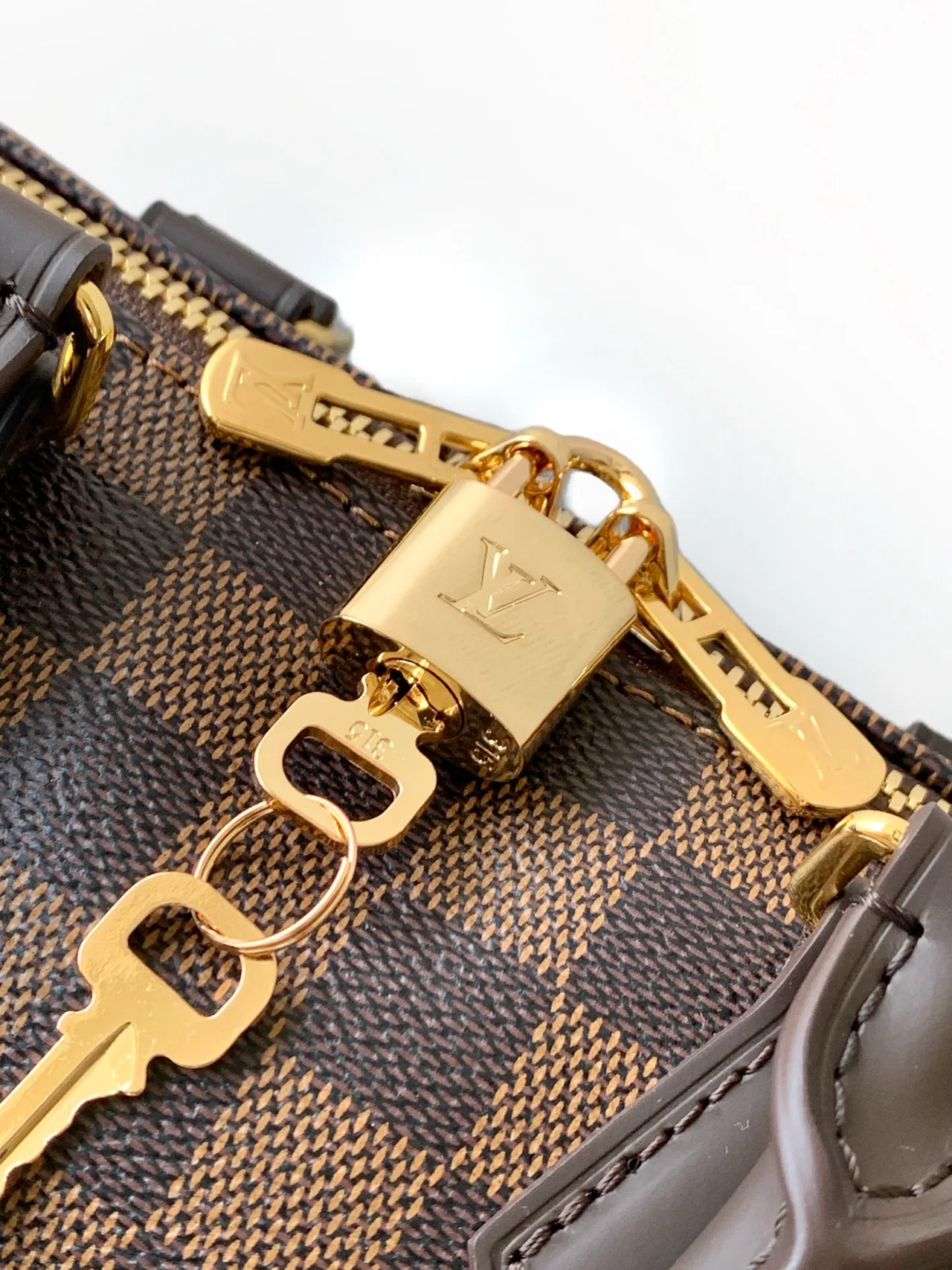 Louis Vuitton Speedy Handbag in Brown · view 5
