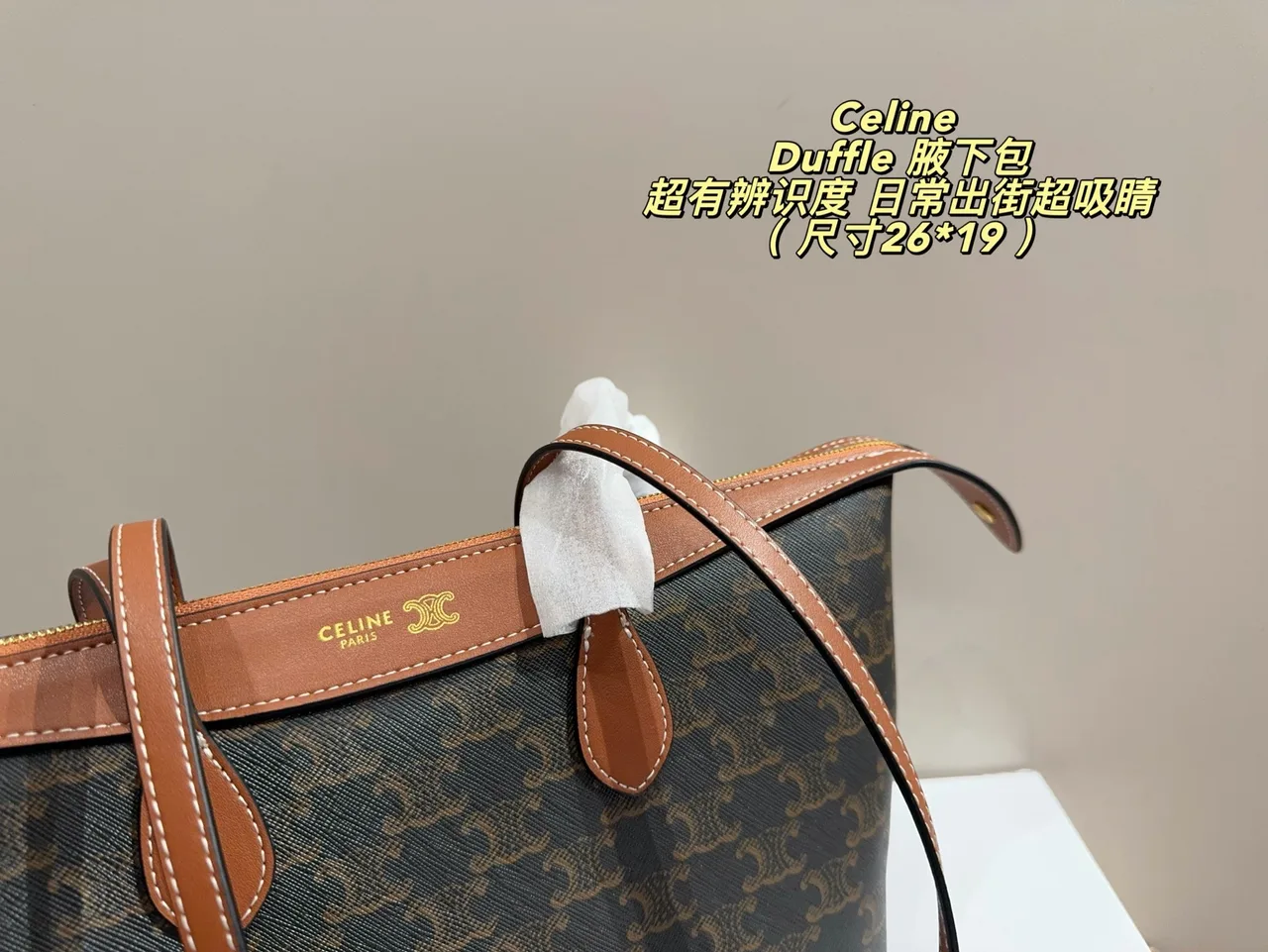 Celine Cowhide Canvas Crossbody Bag in Brown · view 2