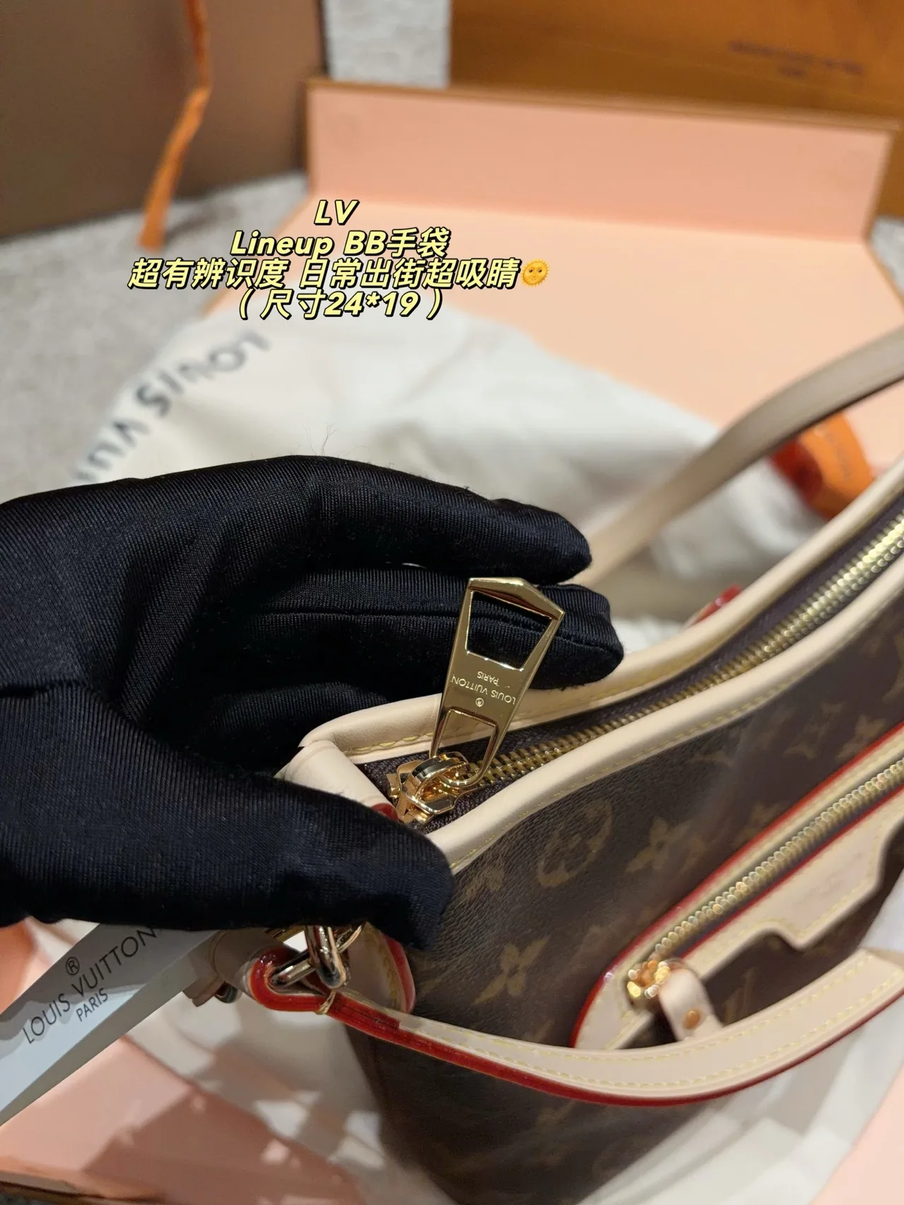 Louis Vuitton Canvas Smooth Hobo Bag in Brown · view 8