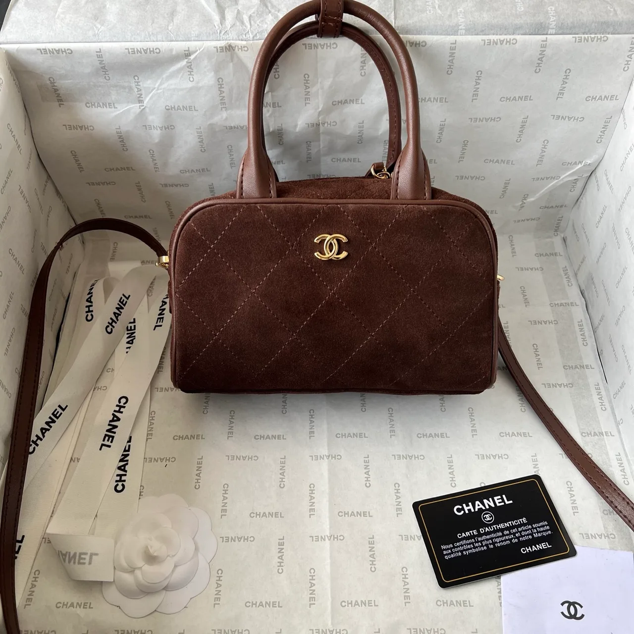 Chanel Quilted Handbag in Brown · view 1