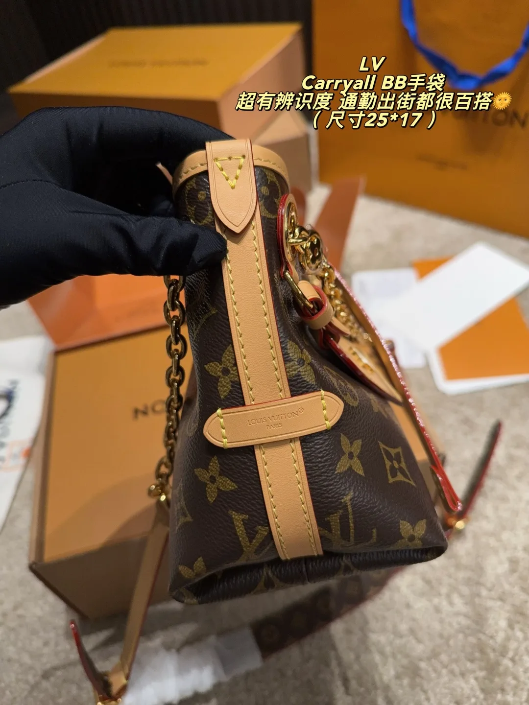 Louis Vuitton Carryall BB Shoulder Bag in Brown · view 7