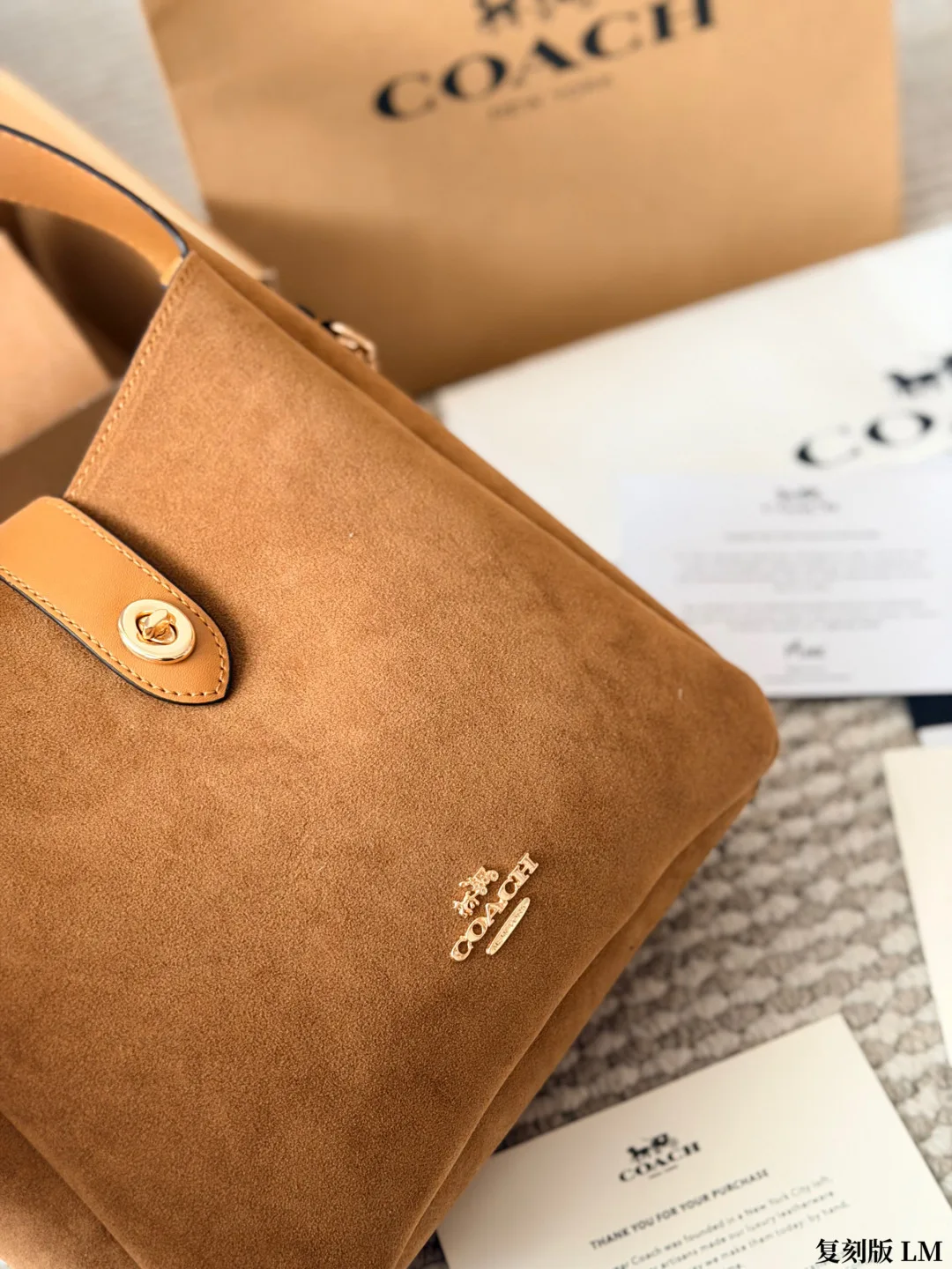 Coach Suede Canvas Hobo Bag in Tan · view 4