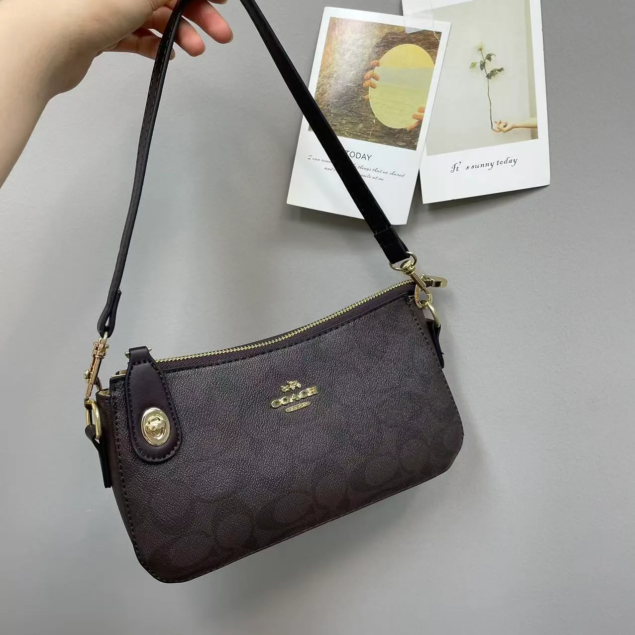 Coach Shoulder Bag in Grey & Pink & Beige & Brown & Tan & White · view 4
