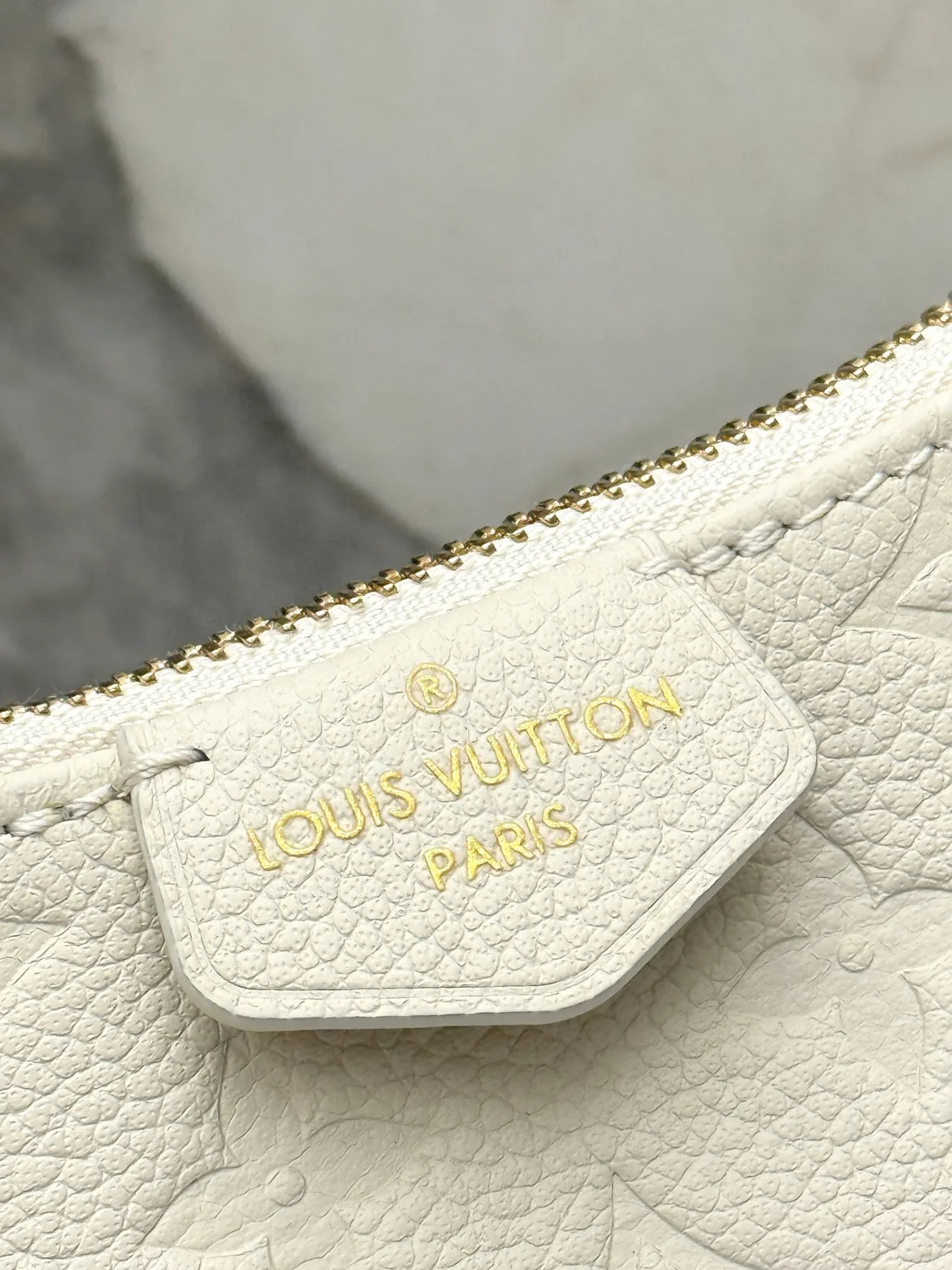 Louis Vuitton Leather Smooth Hobo Bag in Cream · view 5