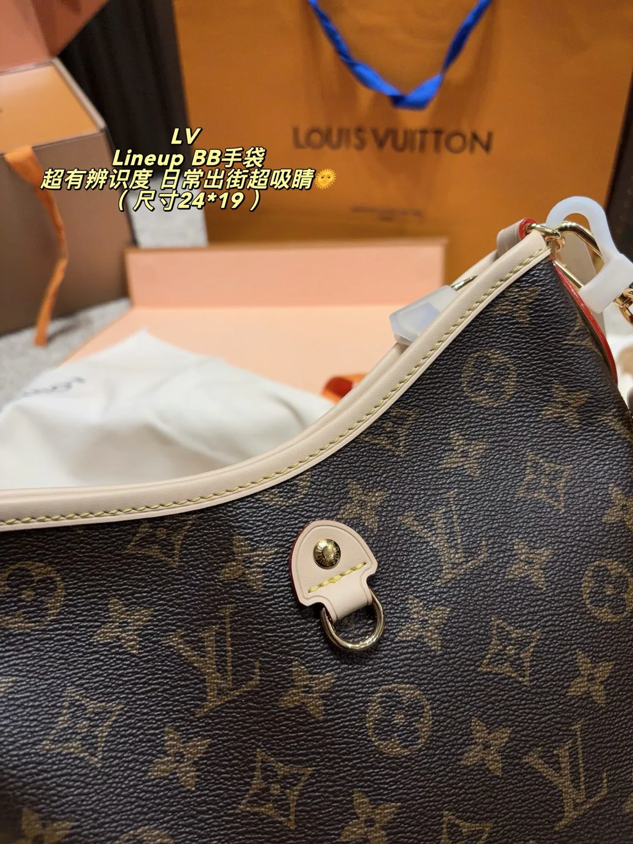 Louis Vuitton Canvas Smooth Hobo Bag in Brown · view 6