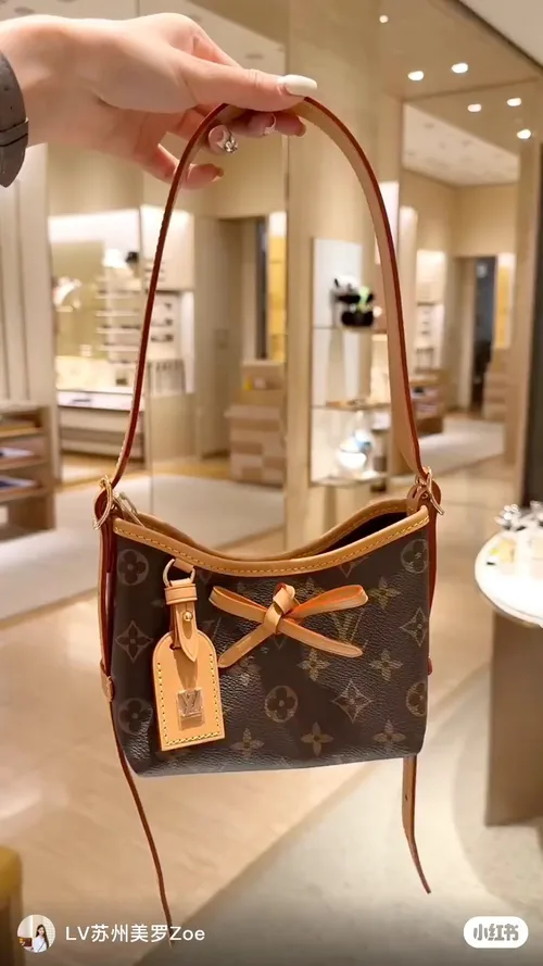 Louis Vuitton Hobo Bag in Brown · view 2