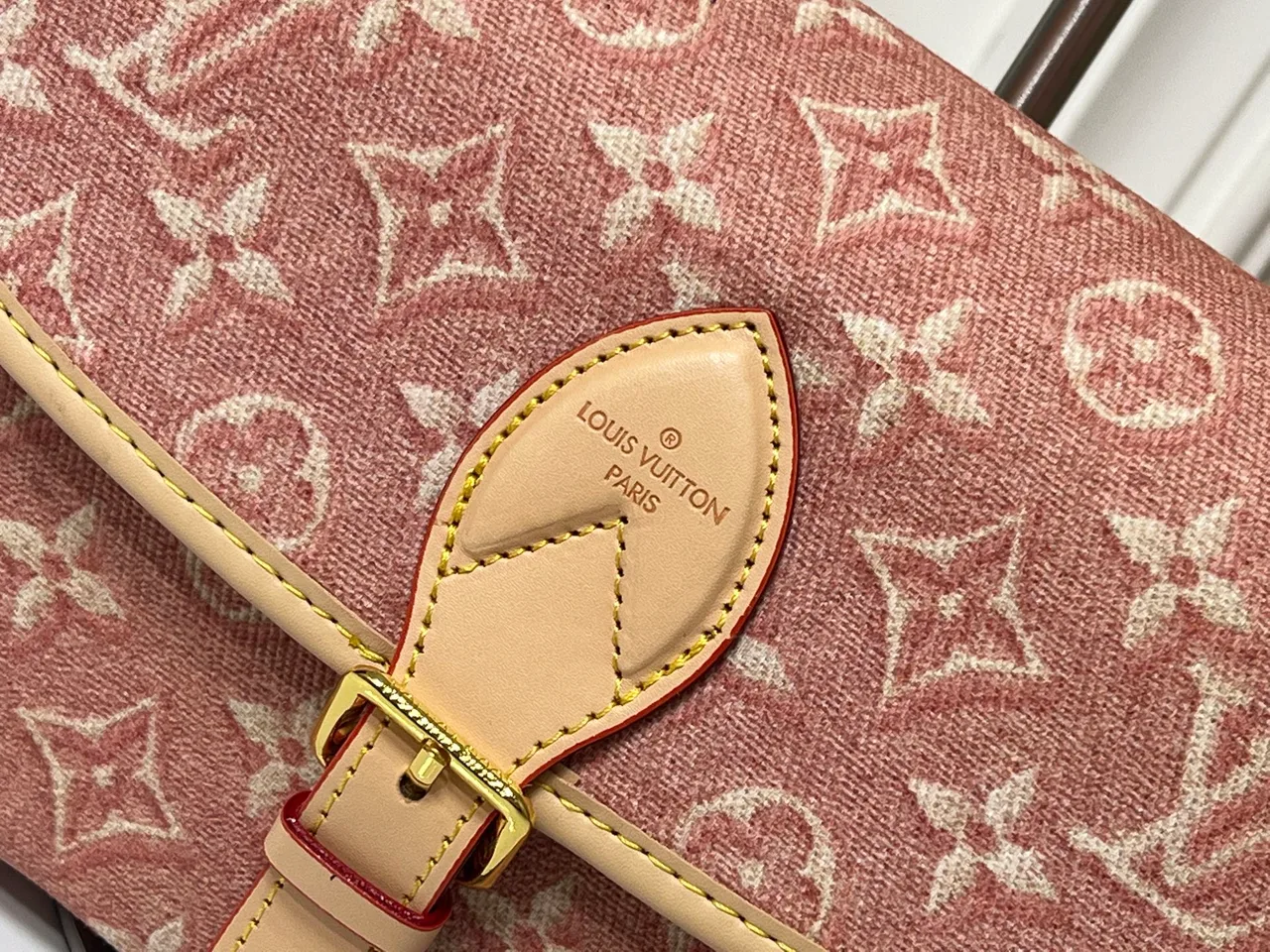 Louis Vuitton Cowhide Canvas Handbag in Pink · view 6