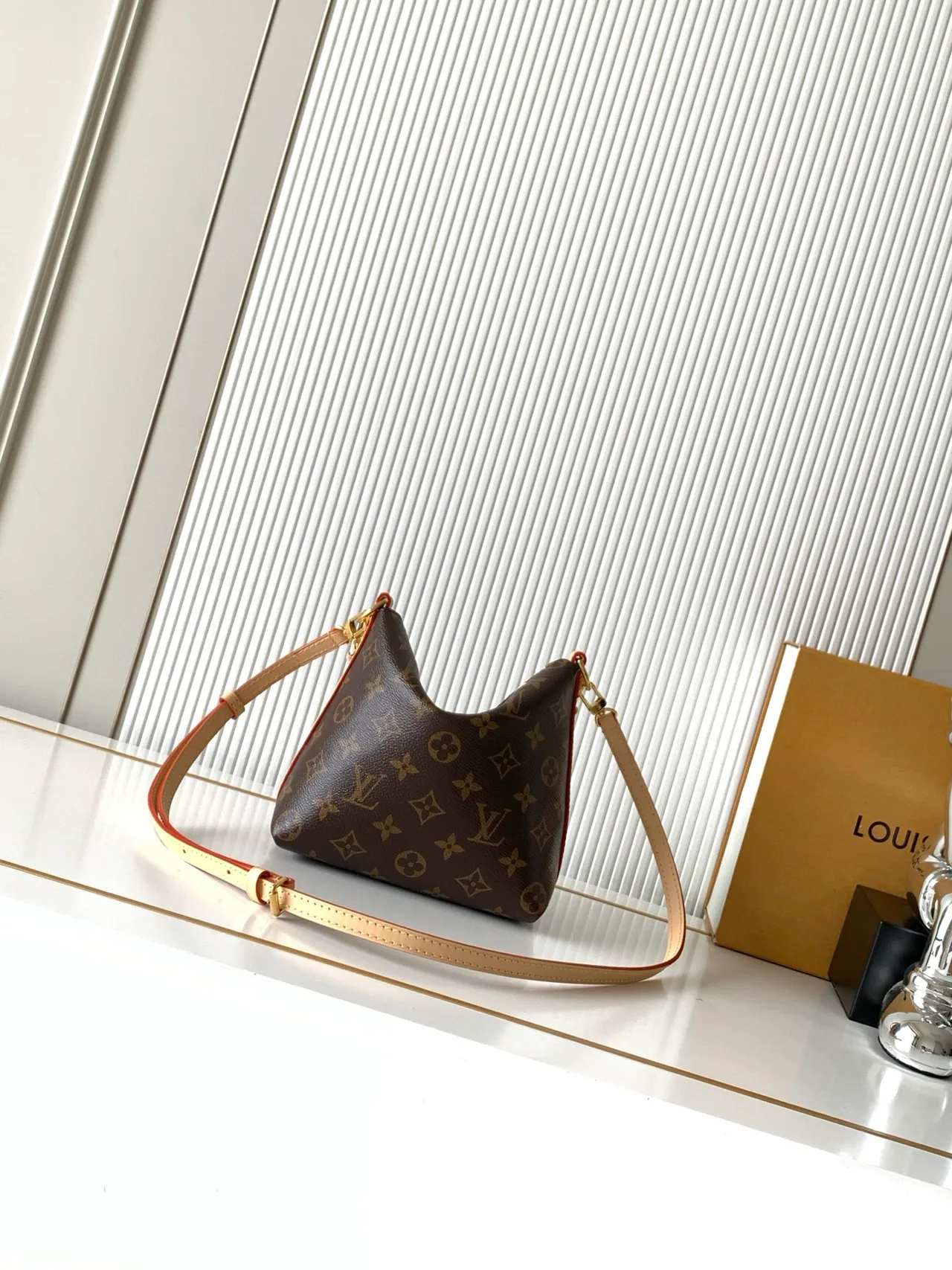 Louis Vuitton Canvas Smooth Hobo Bag in Brown · view 3