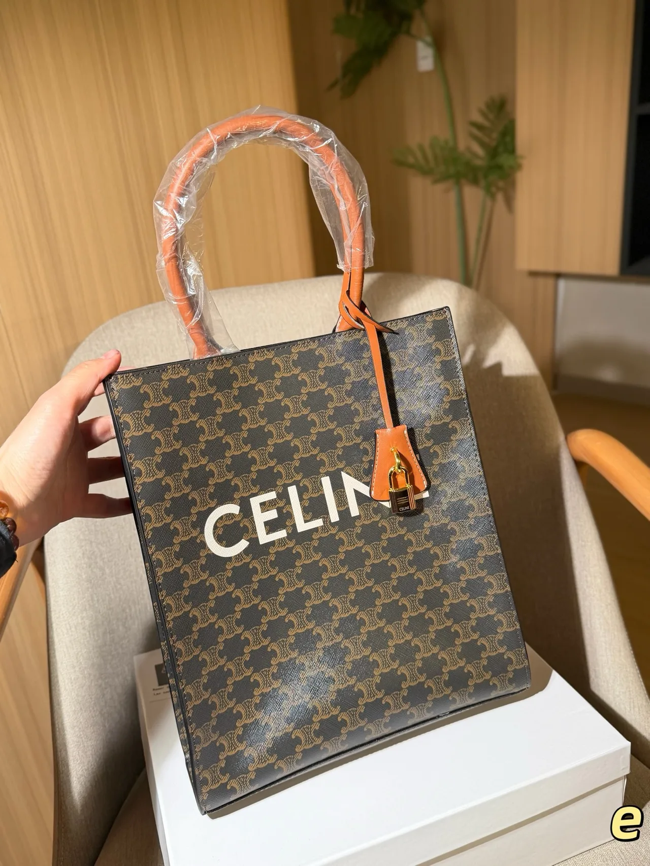 Celine Cabas Tote in Brown · view 2