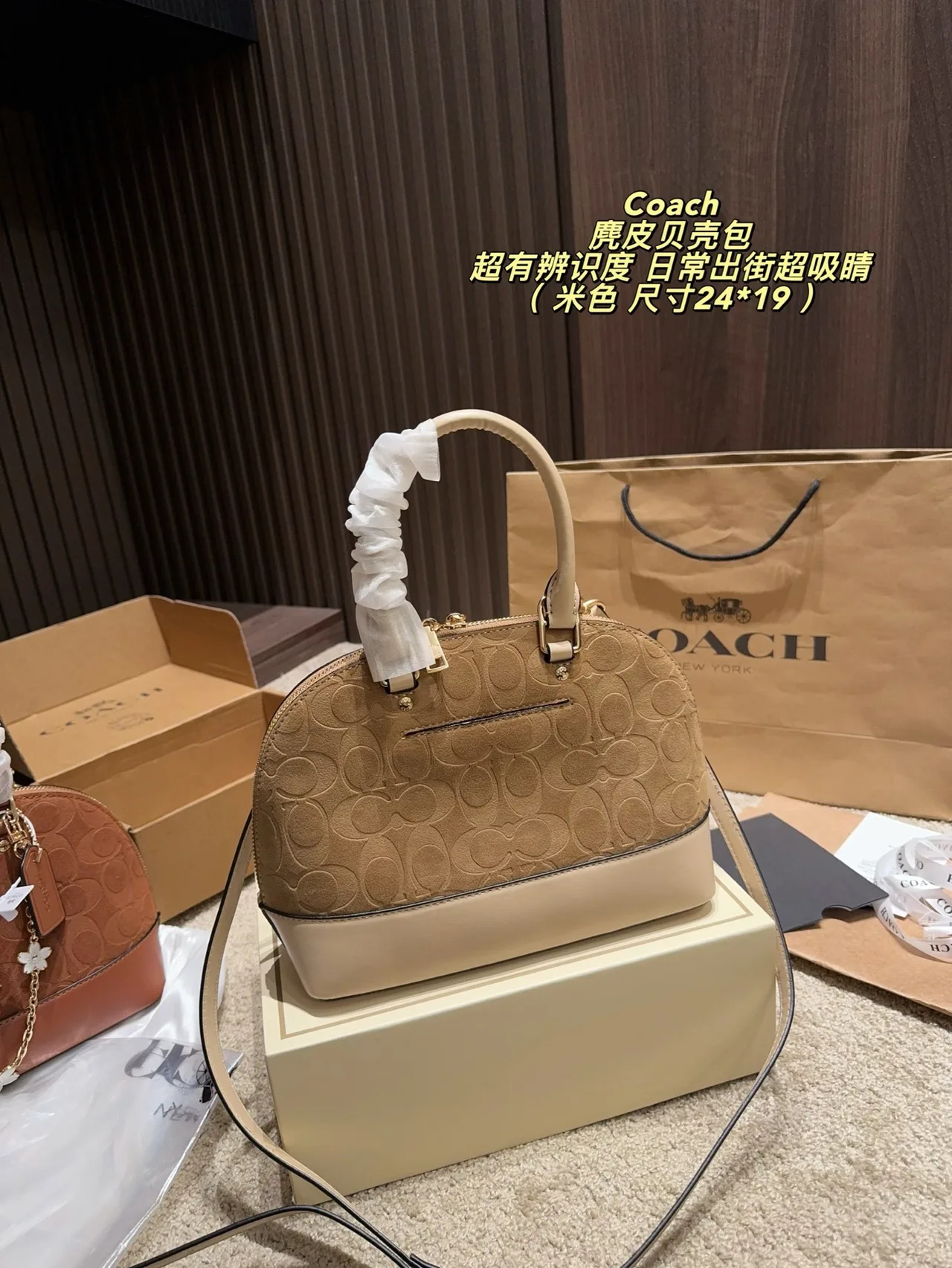 Coach Suede Handbag in Beige · view 3