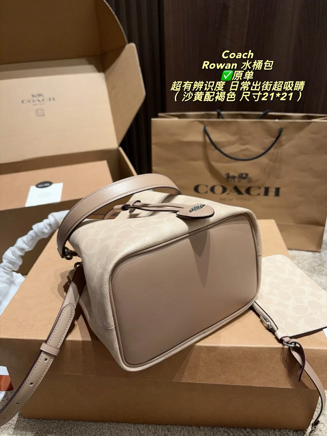 Coach Bucket Bag in Beige · view 6