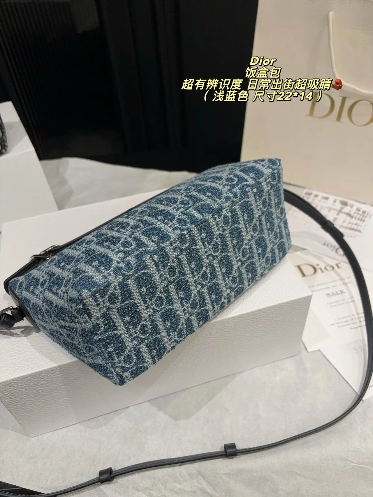 Dior Canvas Hobo Bag in Blue · view 6