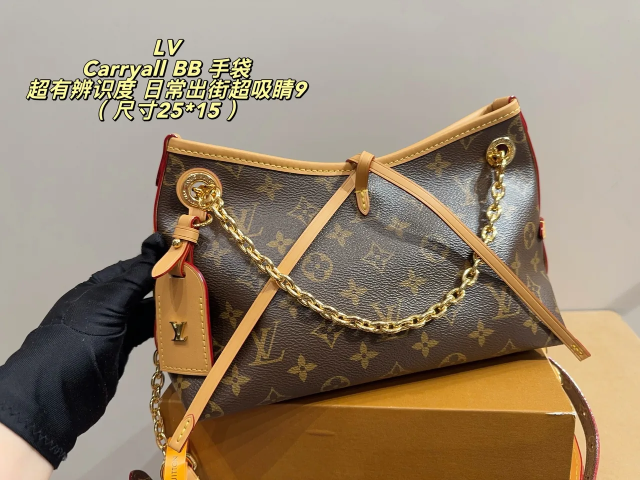 Louis Vuitton Canvas Hobo Bag in Brown · view 8