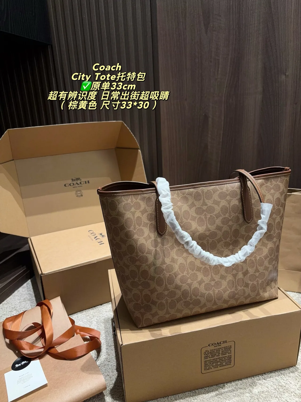 Coach Canvas Tote in Tan · view 3