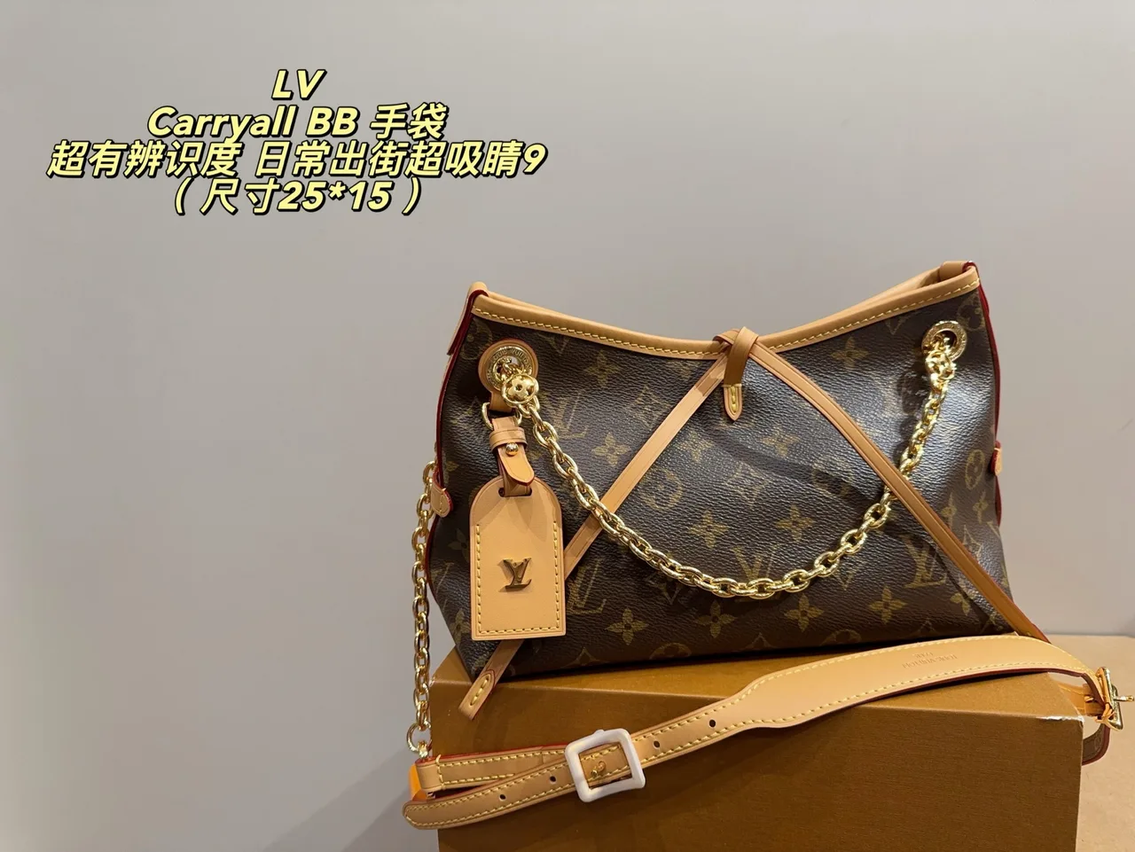 Louis Vuitton Canvas Hobo Bag in Brown · view 1