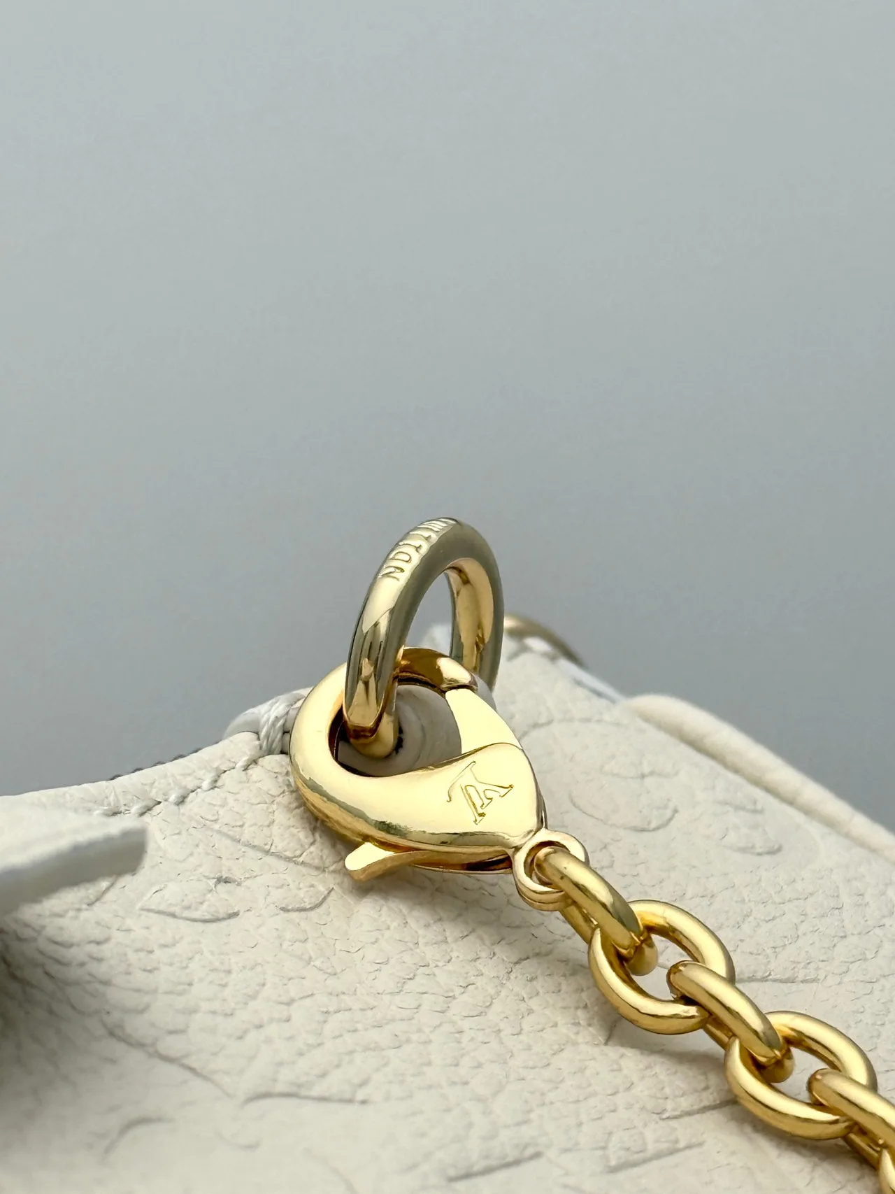 Louis Vuitton Leather Smooth Hobo Bag in Cream · view 7