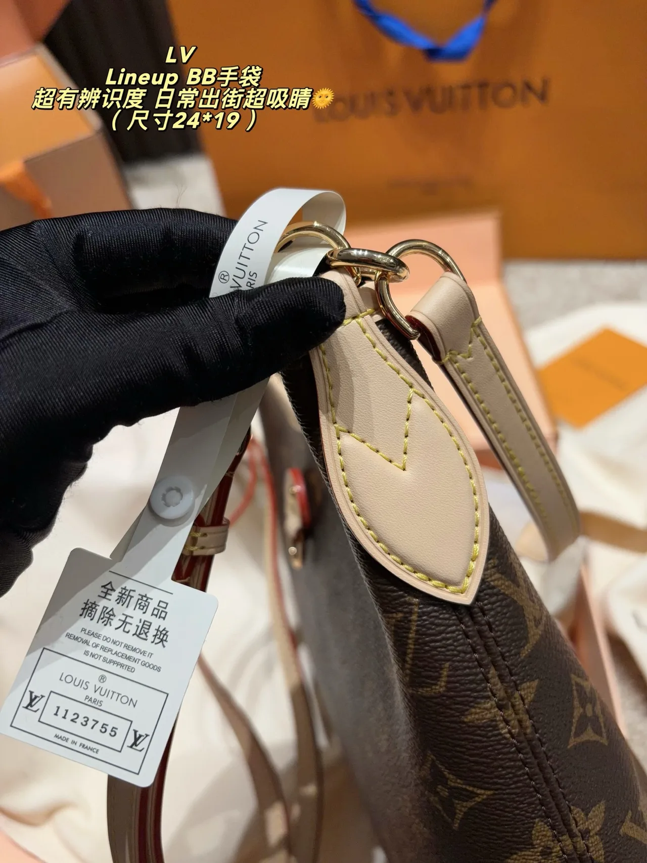 Louis Vuitton Canvas Smooth Hobo Bag in Brown · view 5