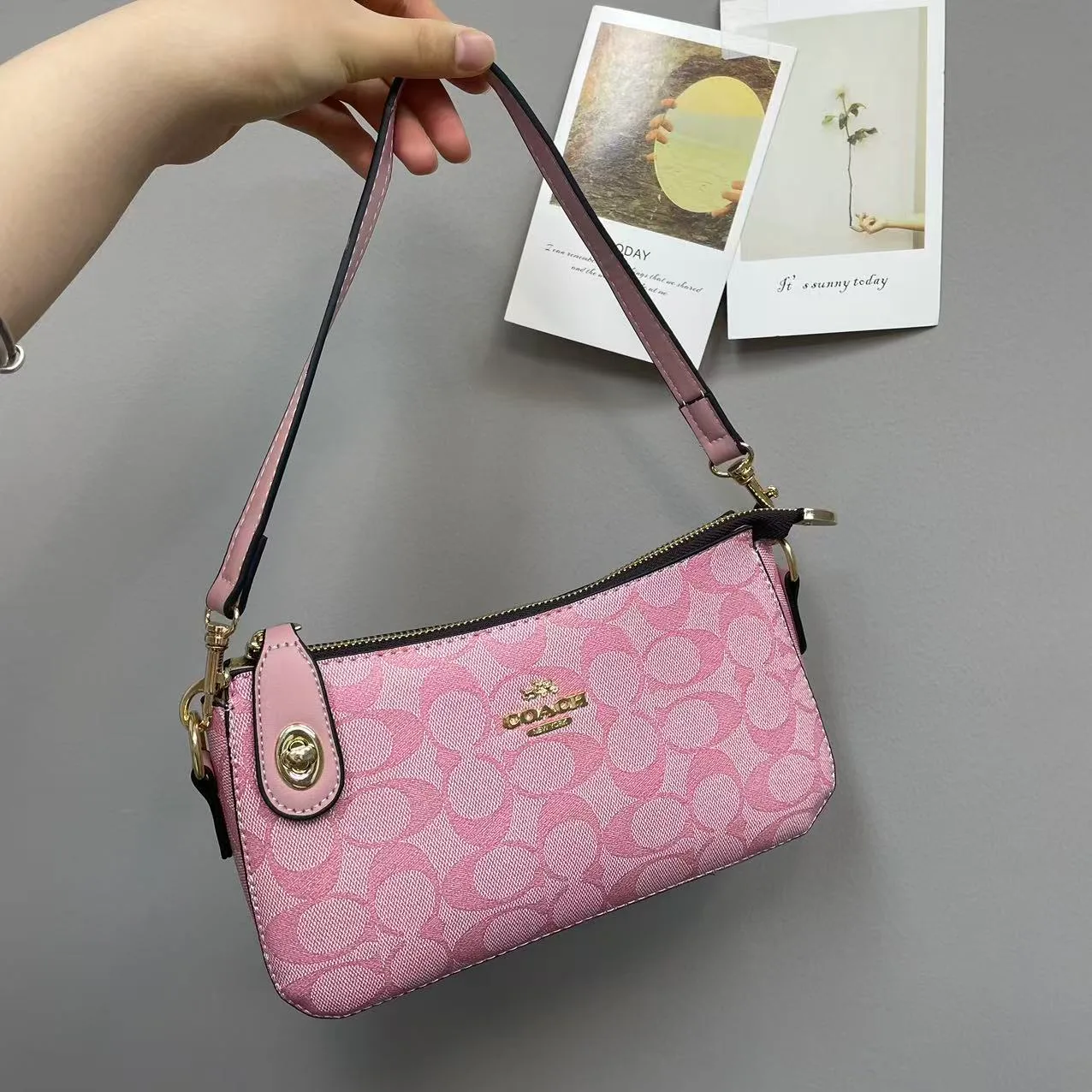 Coach Shoulder Bag in Grey & Pink & Beige & Brown & Tan & White · view 2