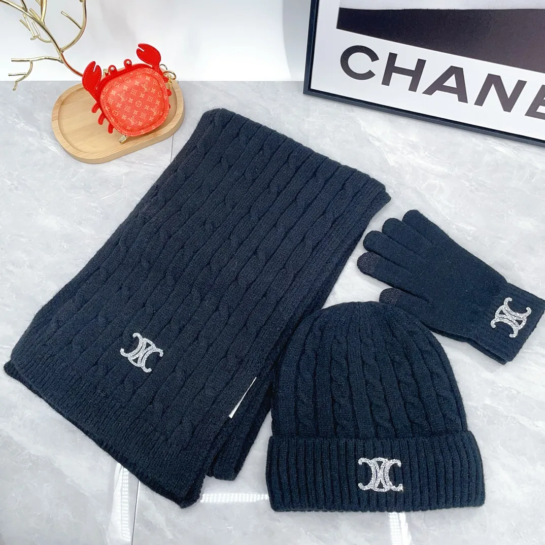 Celine Hat Scarf and Gloves Set in Black · view 1