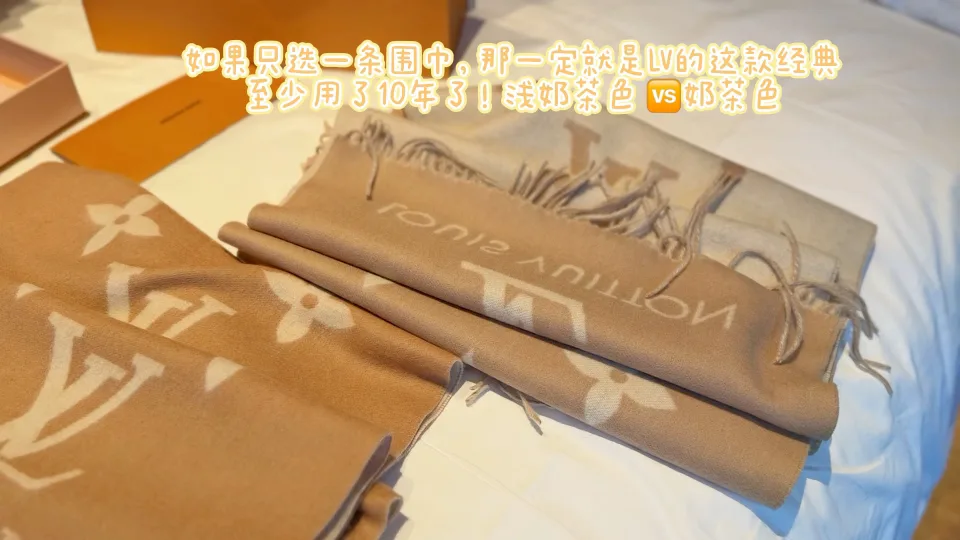 Louis Vuitton Reversible Scarf in Black & Beige & Brown · view 8