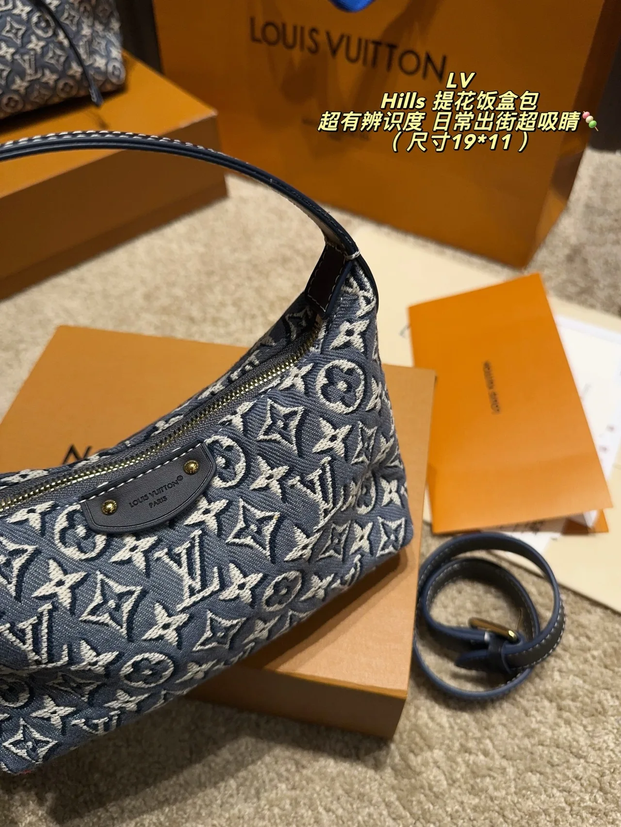 Louis Vuitton Monogram Hills Shoulder Bag in Blue · view 8