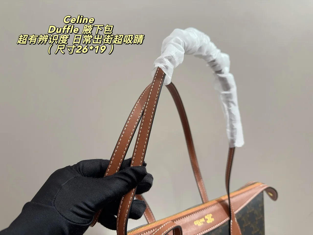 Celine Cowhide Canvas Crossbody Bag in Brown · view 8