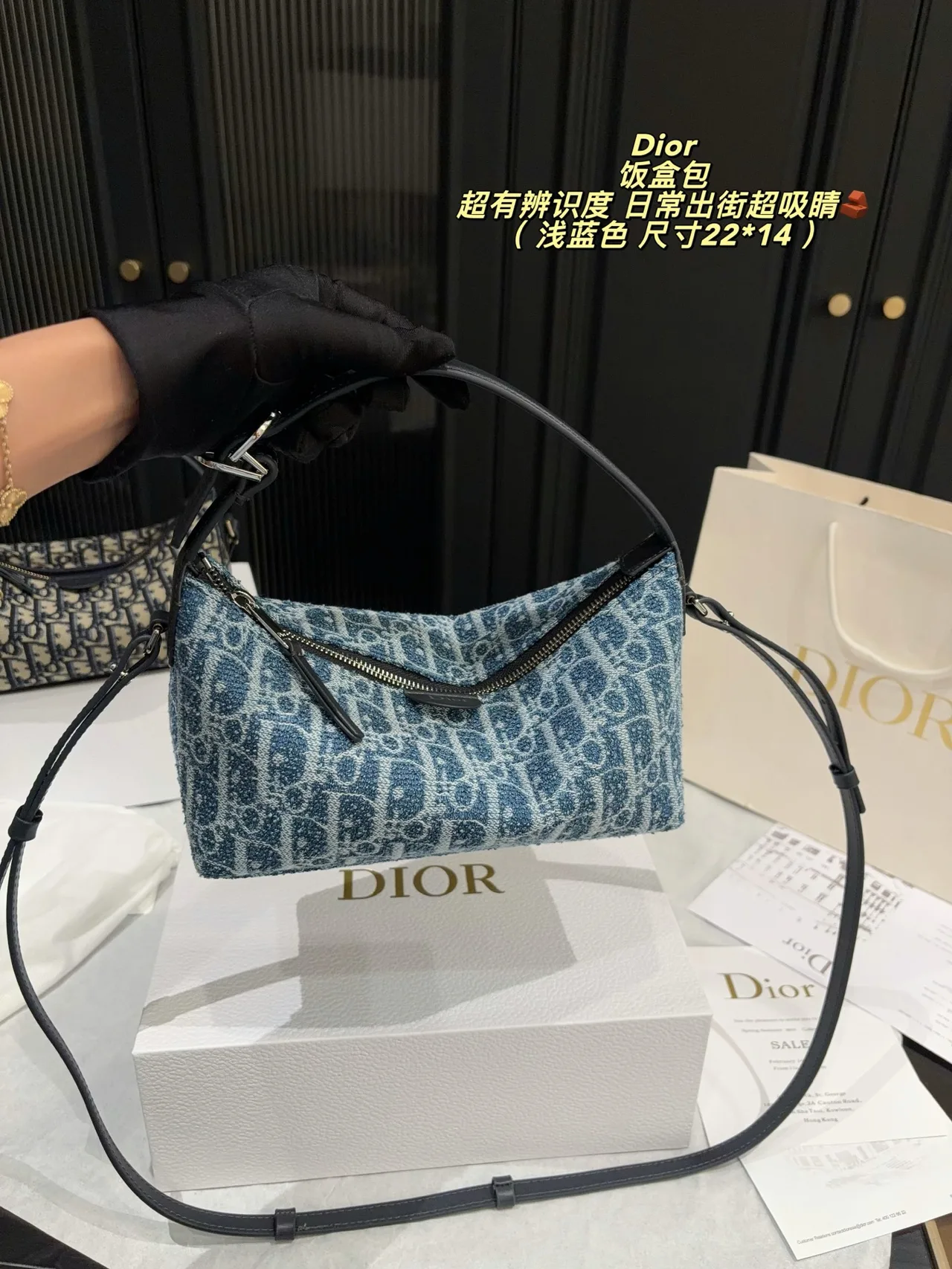Dior Canvas Hobo Bag in Blue · view 2