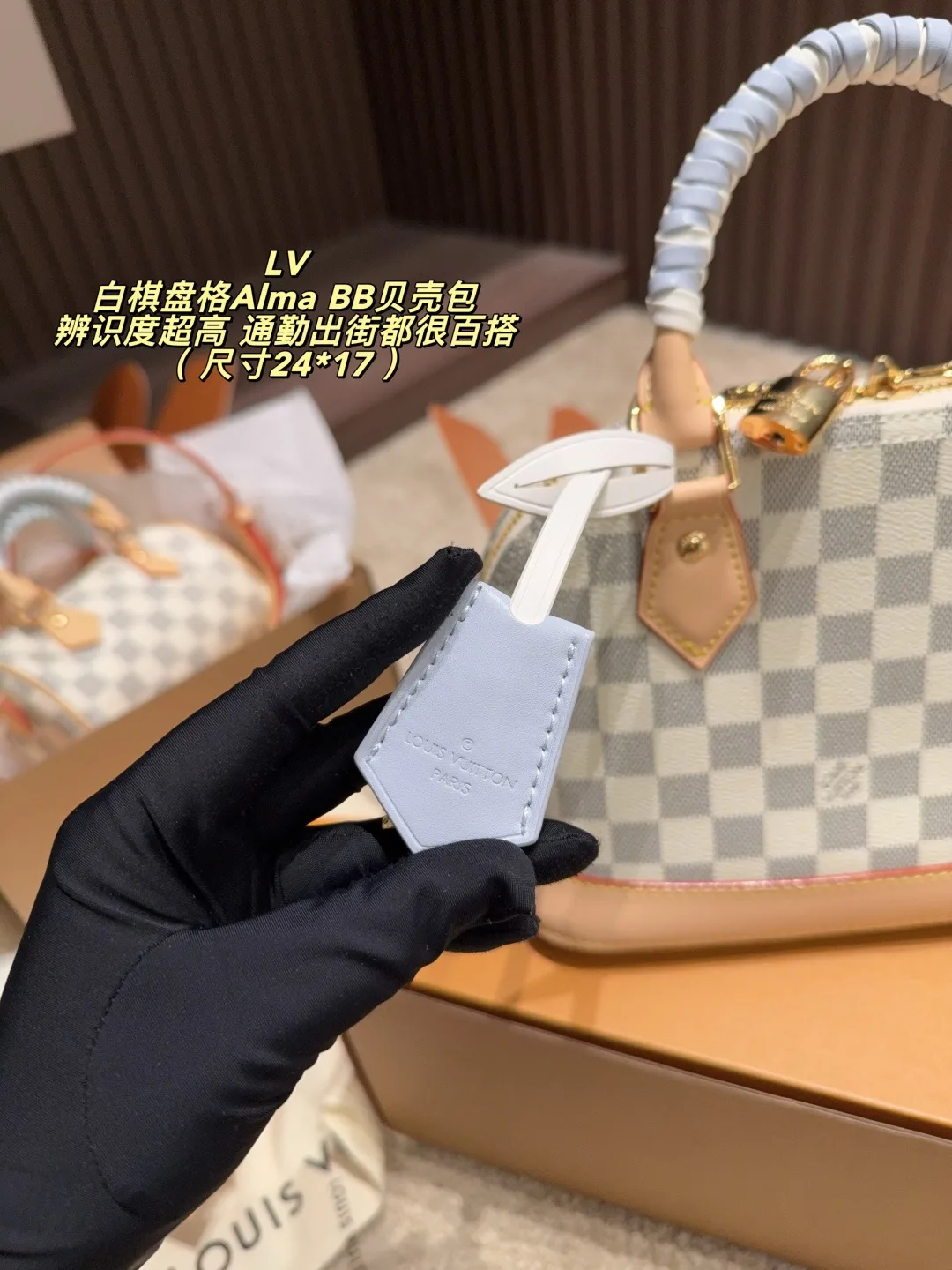 Louis Vuitton Canvas Top-Handle Bag in White · view 5