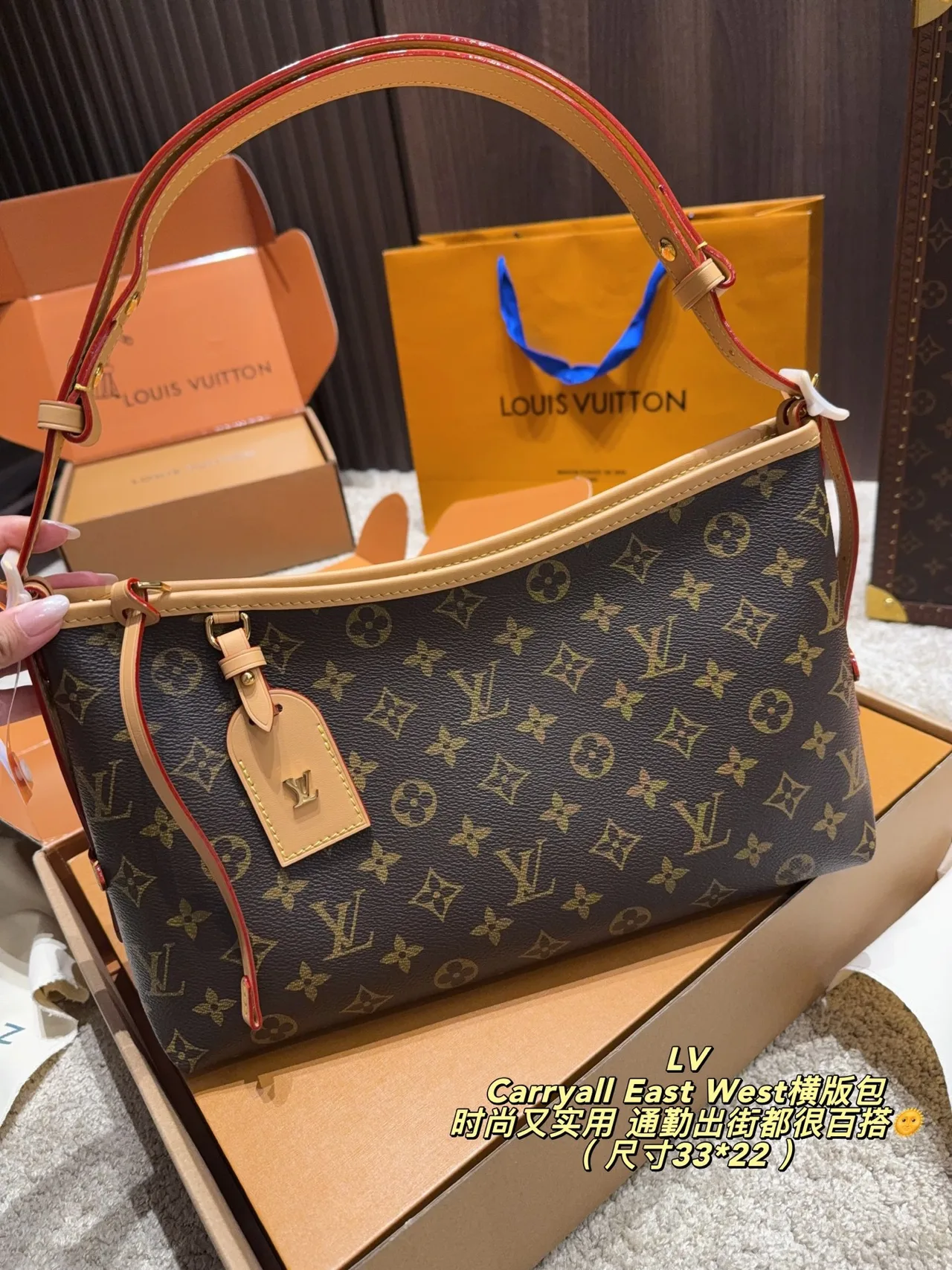 Louis Vuitton Shoulder Bag in Brown · view 1
