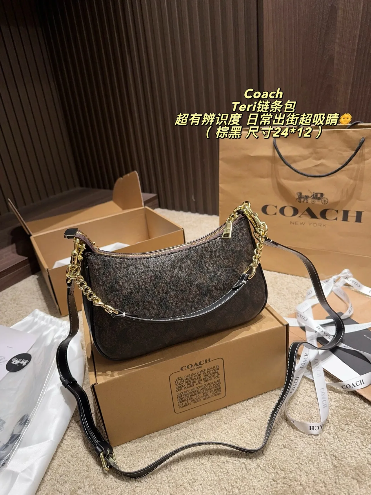 Coach Hobo Teri Chain Shoulder Bag in Brown · view 3