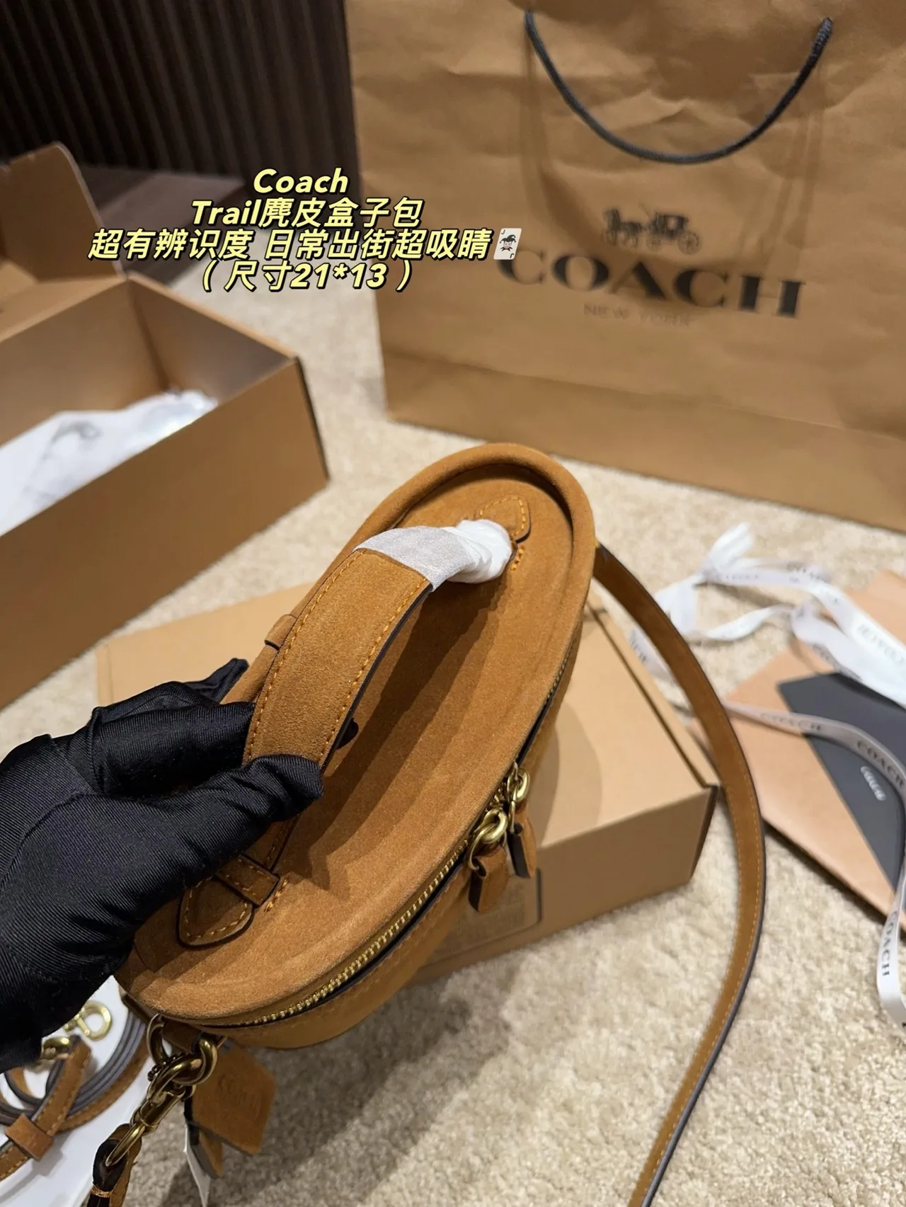 Coach Hobo Crossbody Bag in Tan · view 7
