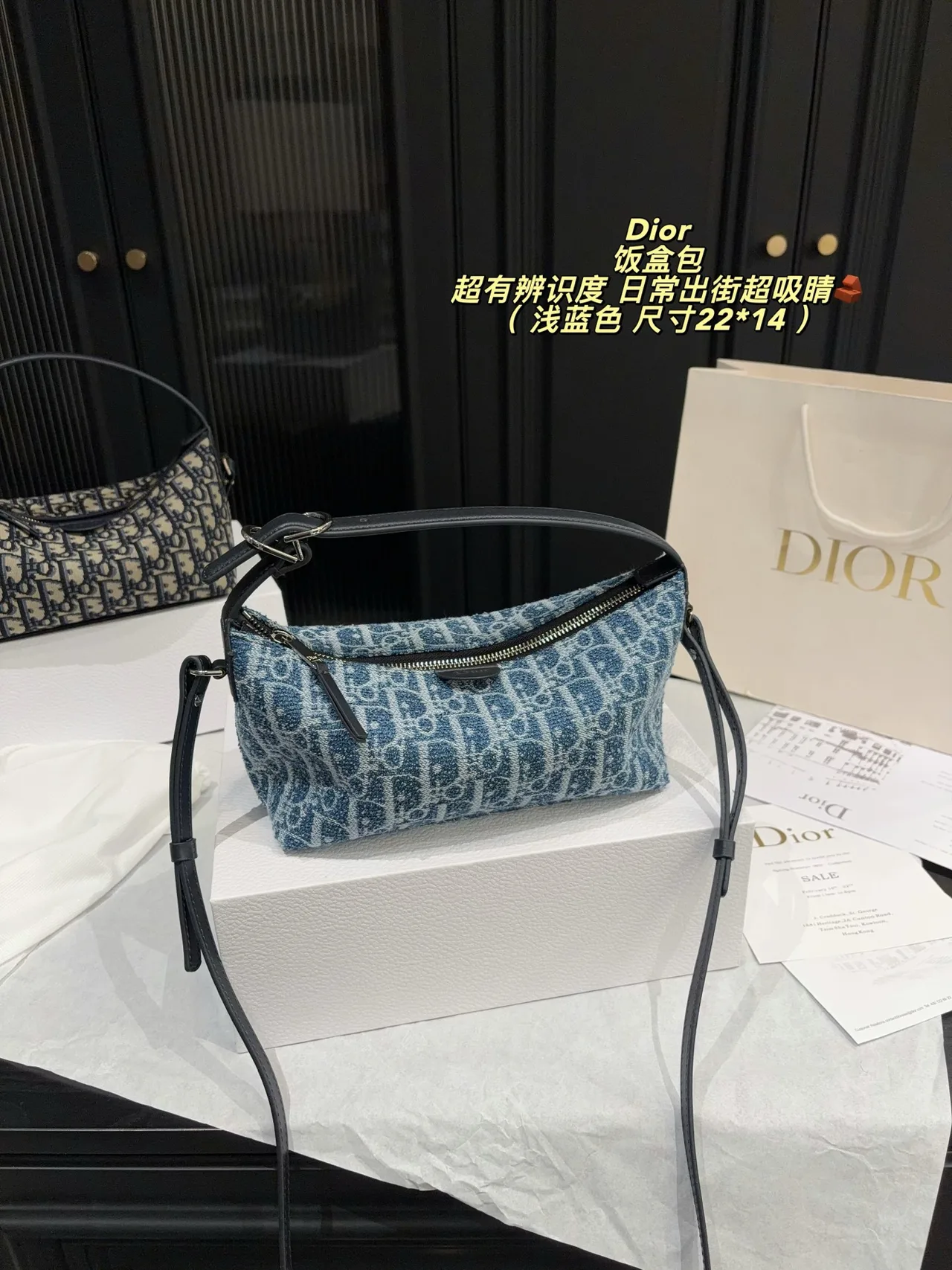 Dior Canvas Hobo Bag in Blue · view 1