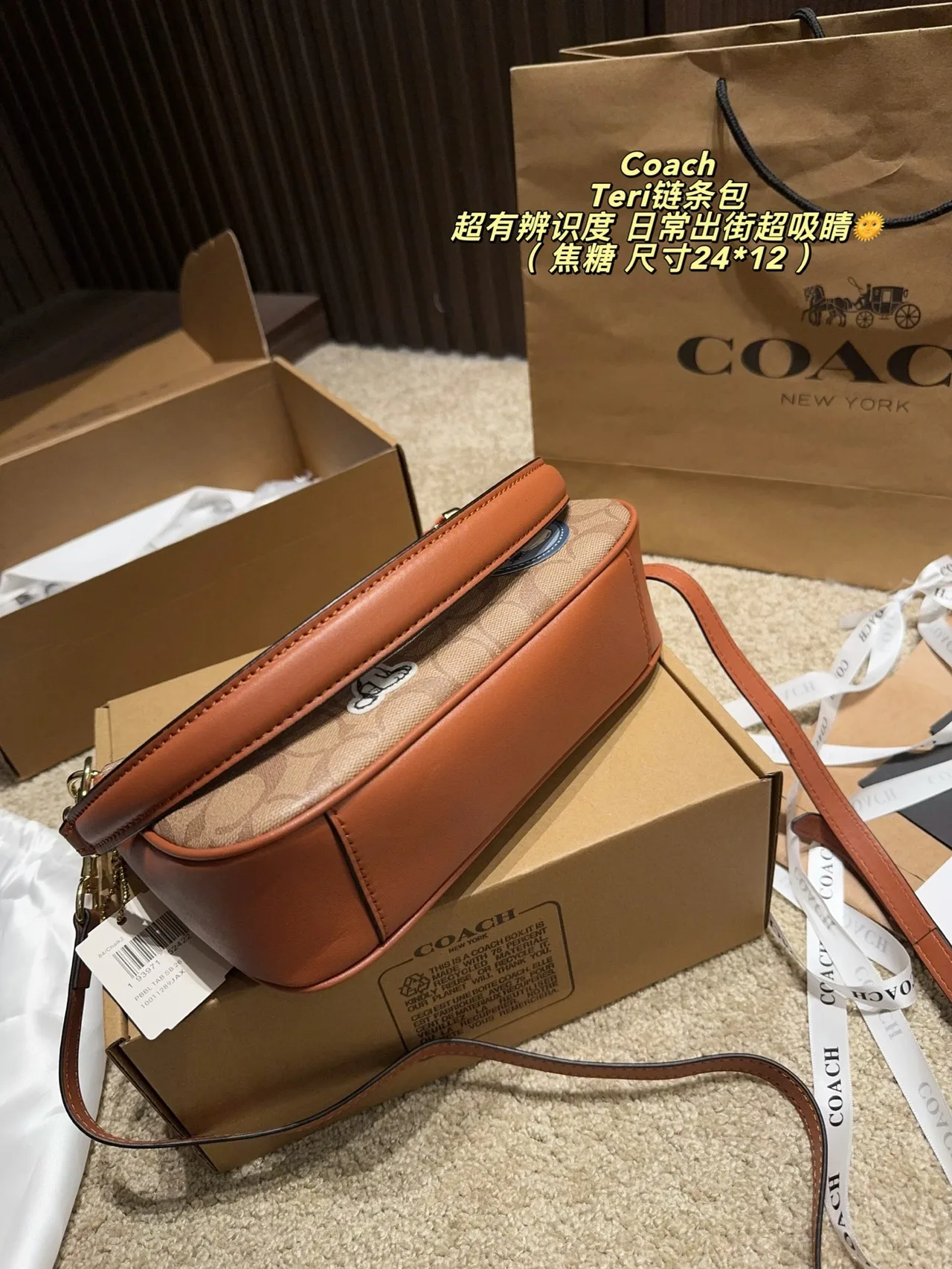 Coach Hobo Bag in Beige · view 6