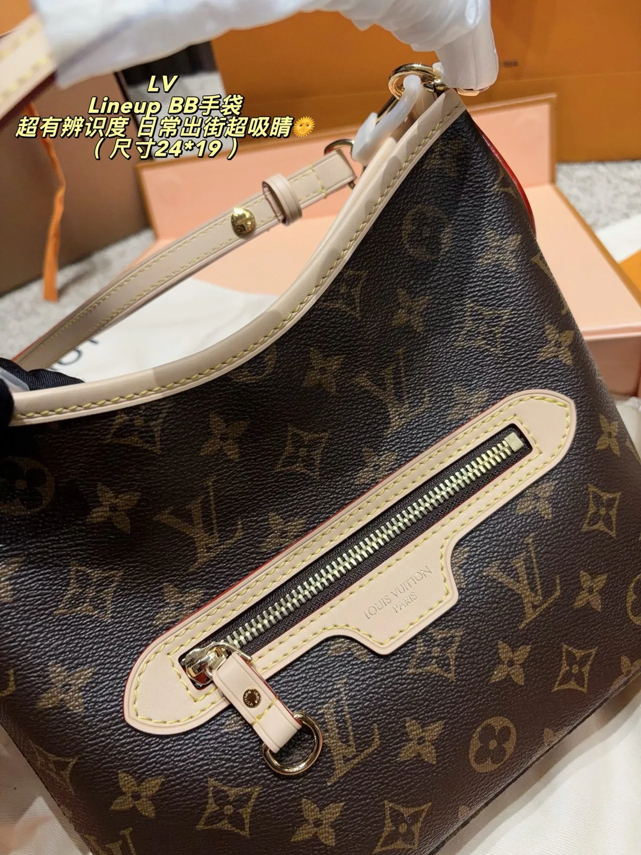 Louis Vuitton Canvas Smooth Hobo Bag in Brown · view 4