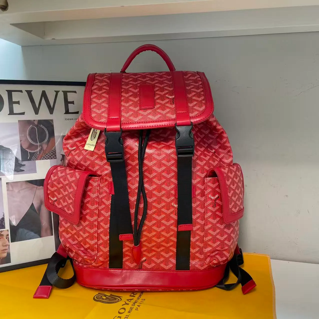 Goyard Backpack in Red & Green & Blue & Brown & Grey & Black · view 1