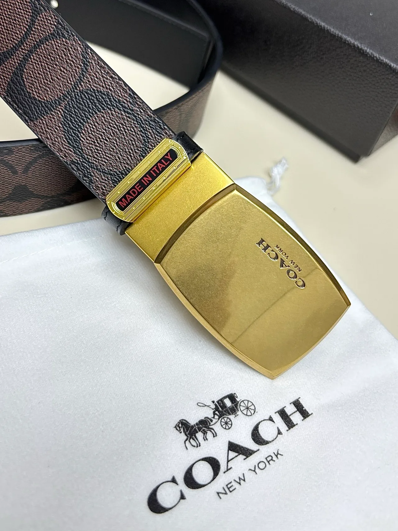Coach Belt in Black · view 7