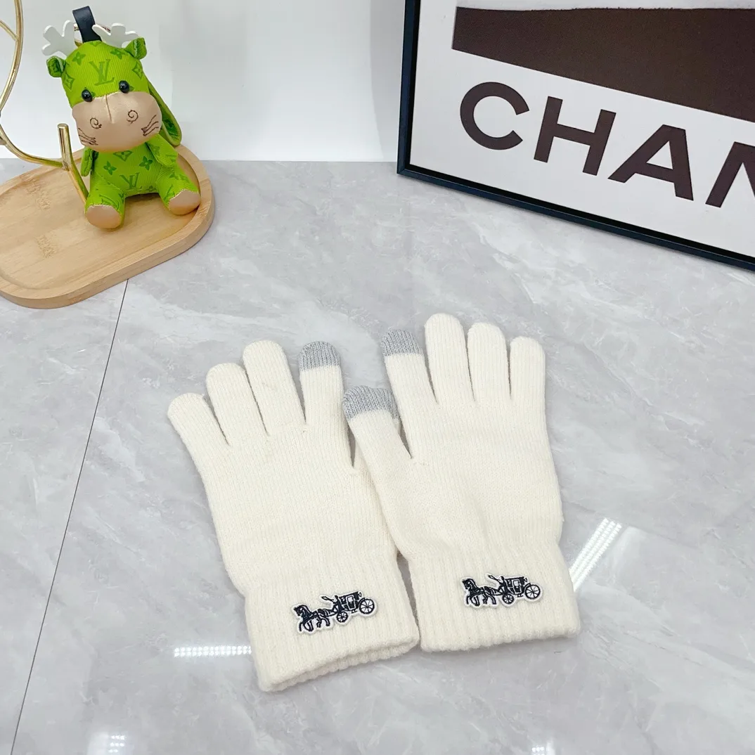Coach Wool Ribbed Embroidered Hat Scarf and Gloves Set in White · view 7