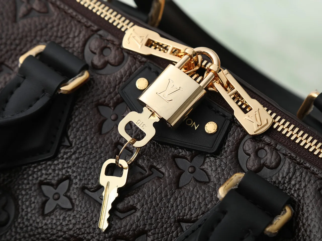 Louis Vuitton Speedy Leather Smooth Handbag in Brown · view 6