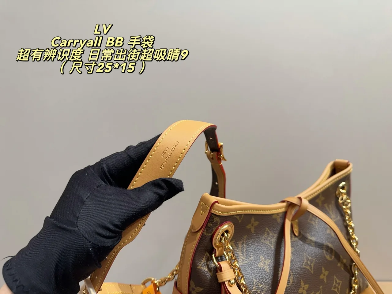 Louis Vuitton Canvas Hobo Bag in Brown · view 7