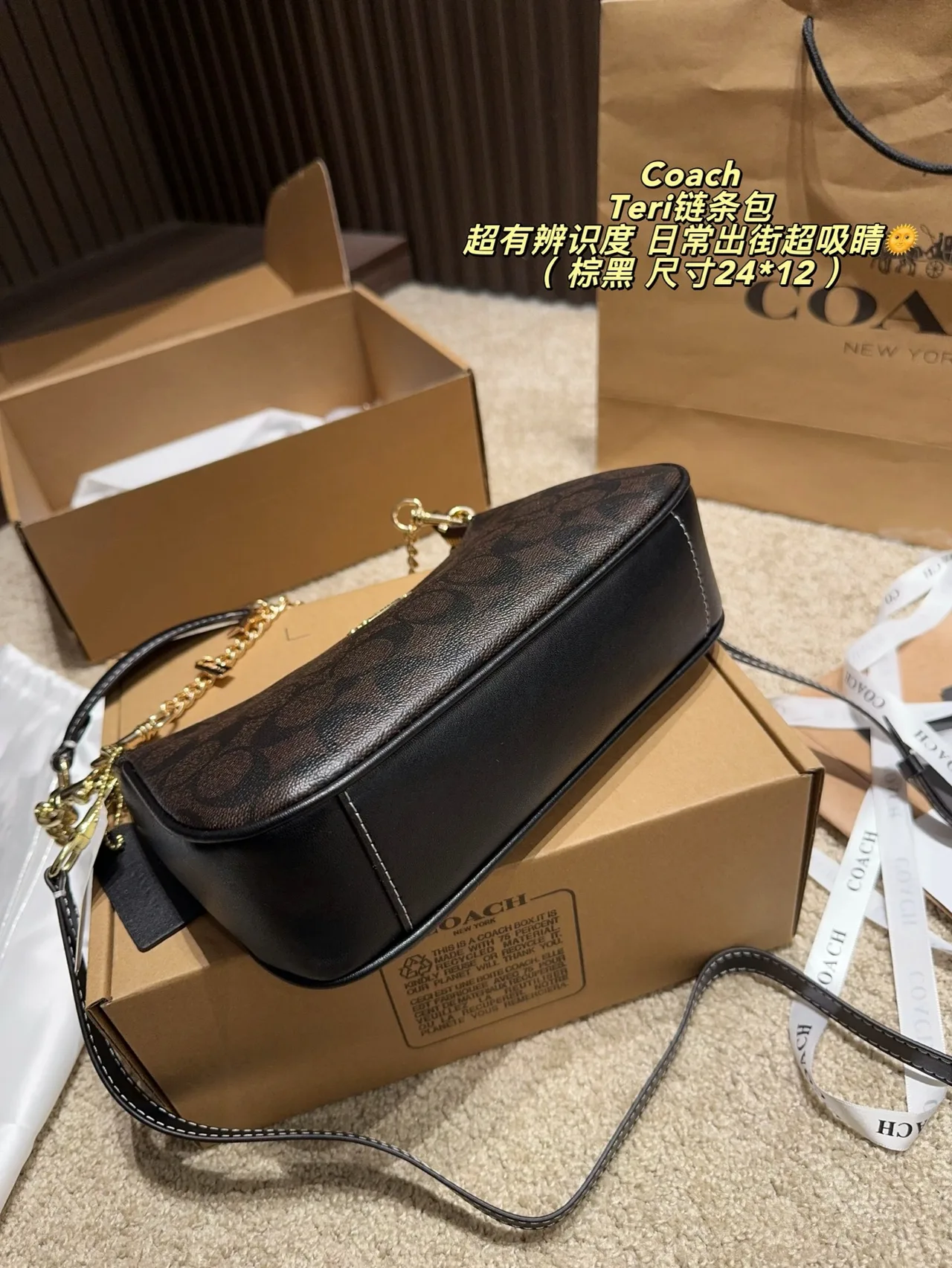 Coach Hobo Teri Chain Shoulder Bag in Brown · view 6