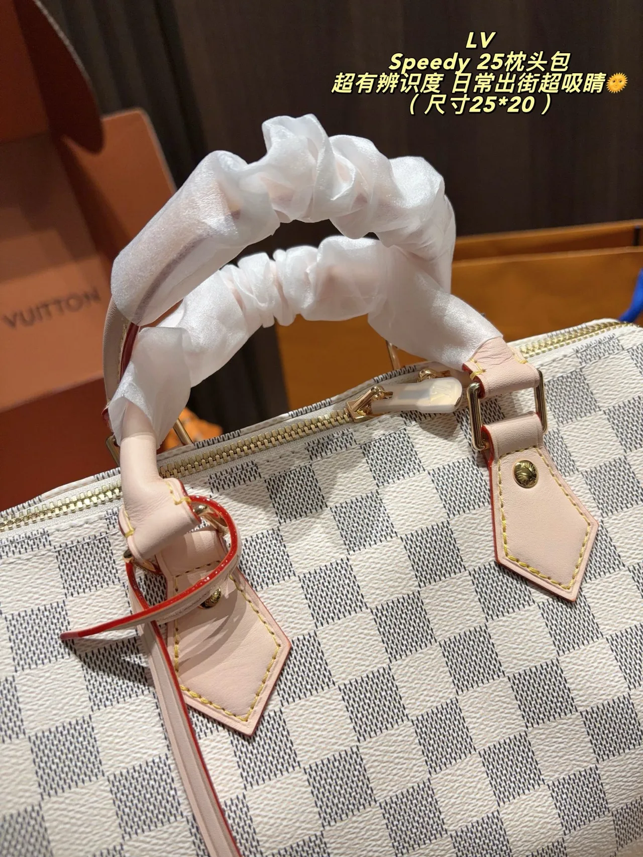 Louis Vuitton Speedy 25 Canvas Crossbody Bag in Grey · view 2