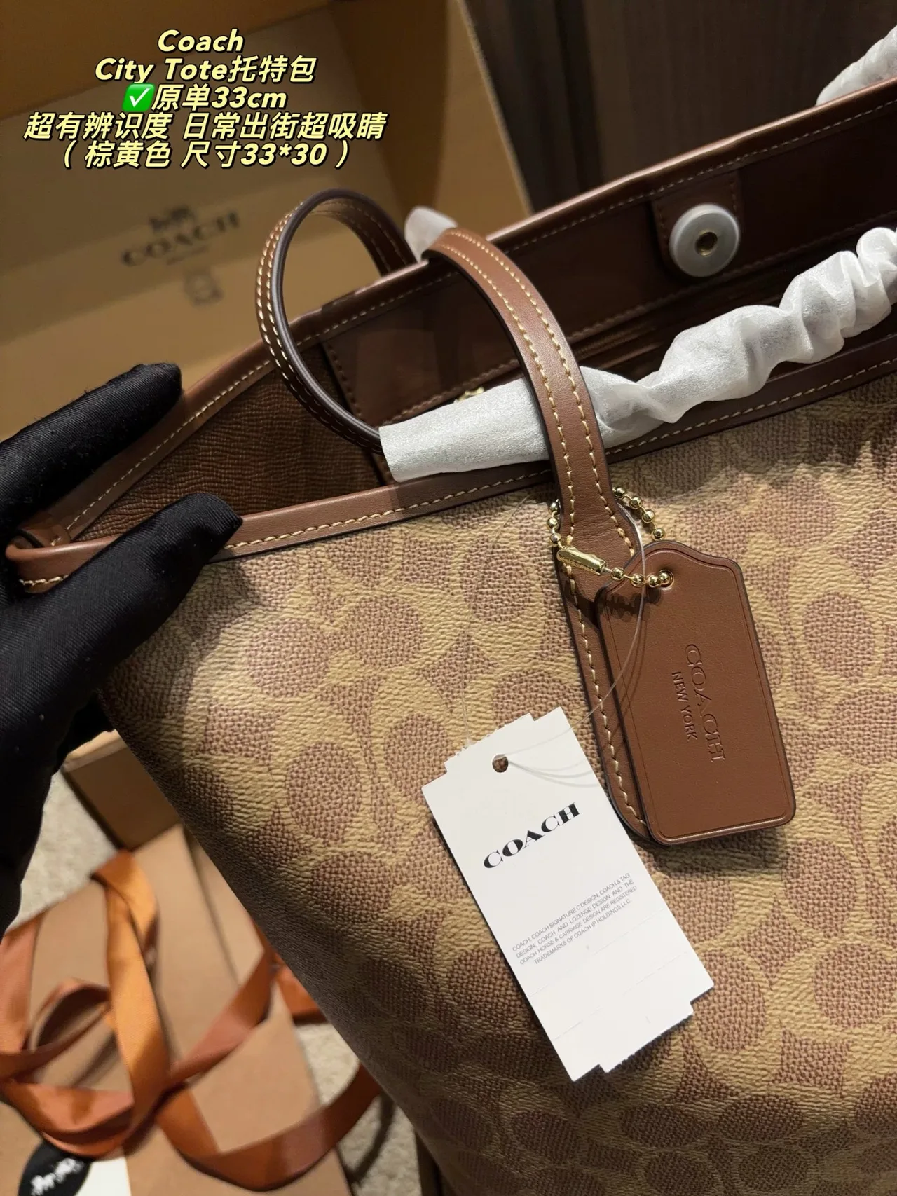 Coach Canvas Tote in Tan · view 7