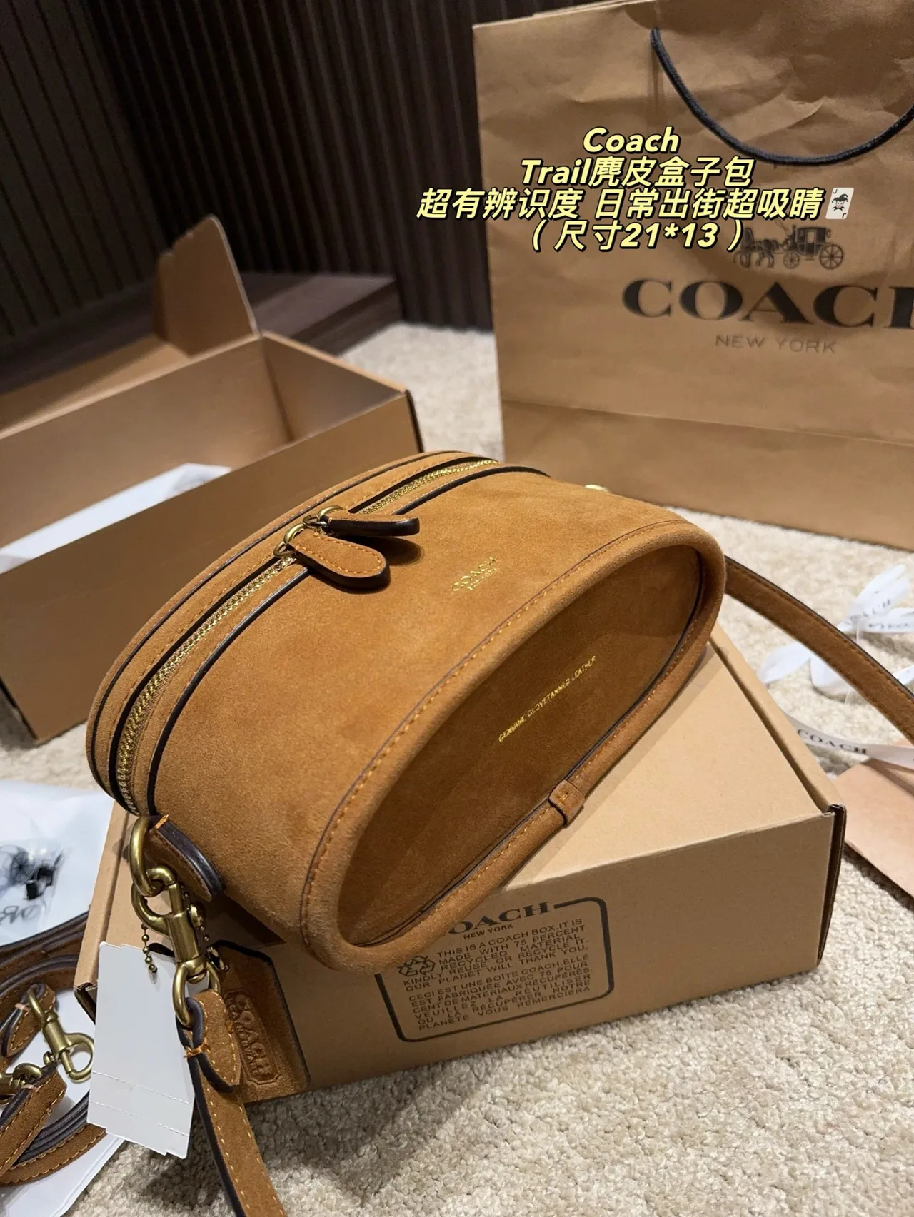 Coach Hobo Crossbody Bag in Tan · view 5