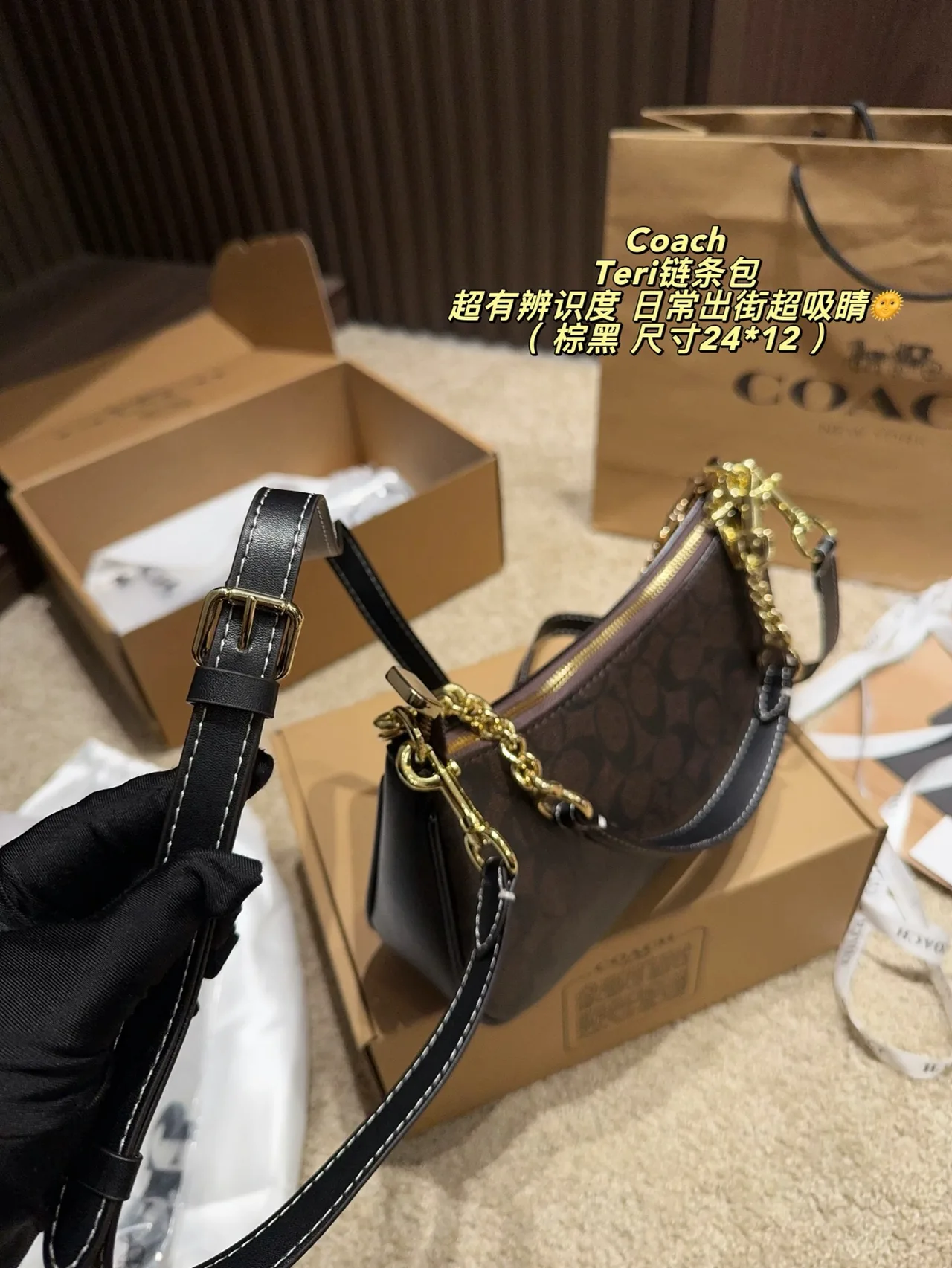 Coach Hobo Teri Chain Shoulder Bag in Brown · view 8