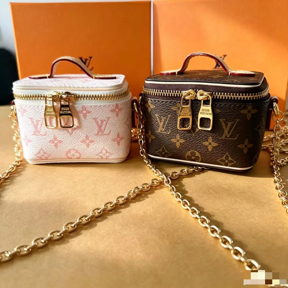 Louis Vuitton Vanity Bag in White / Brown · view 2